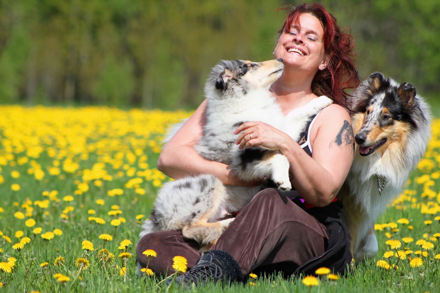 Kvinna på en äng med två glada hundar