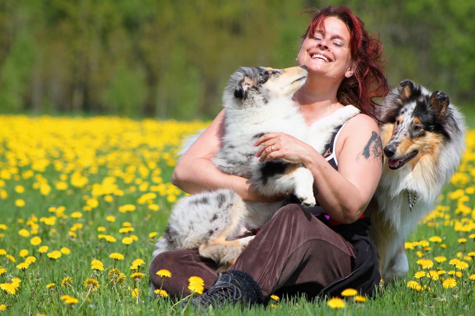Kvinna sitter på en blomsteräng och myser med två hundar