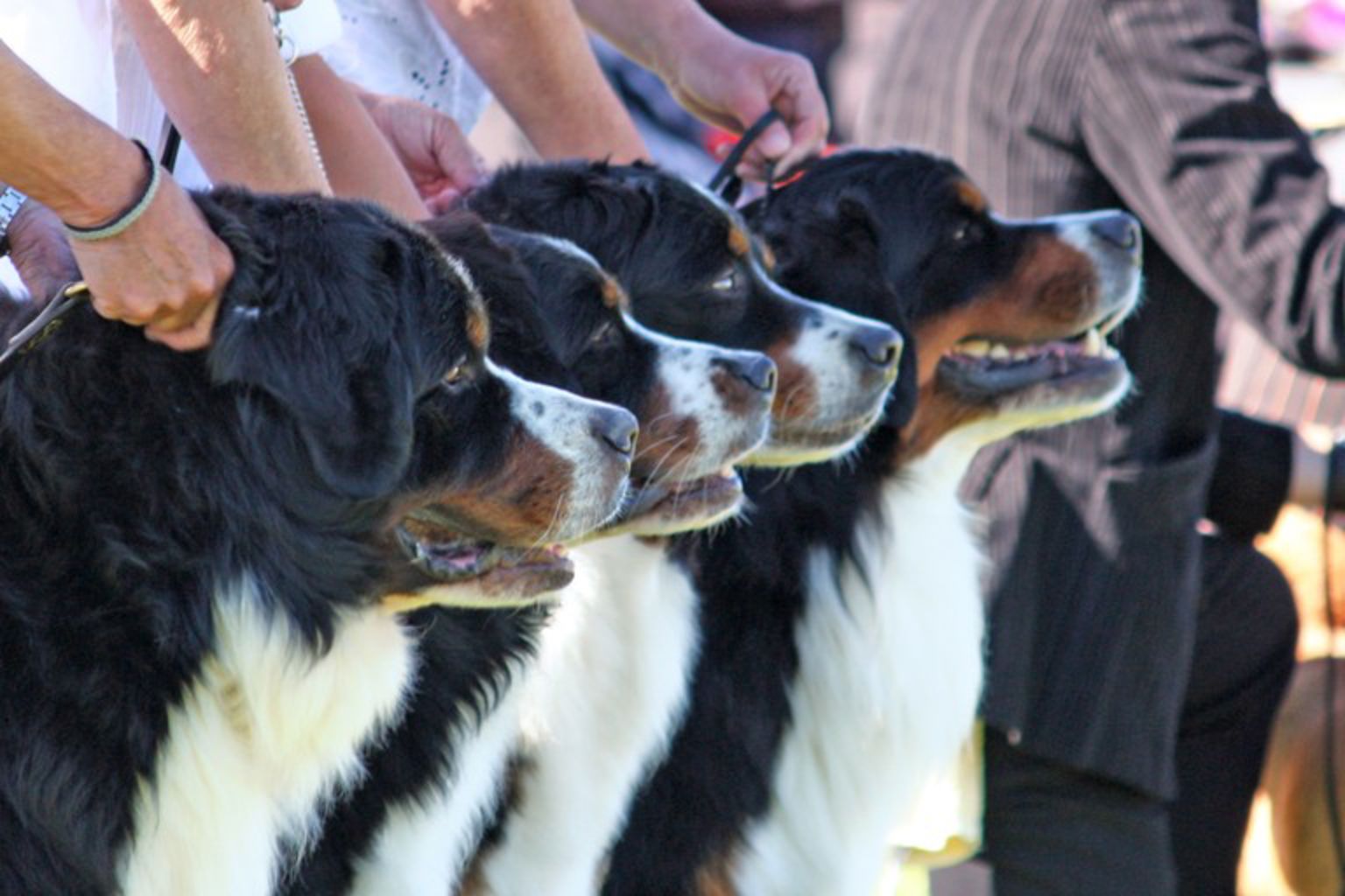 Foto: Nina Pettersson