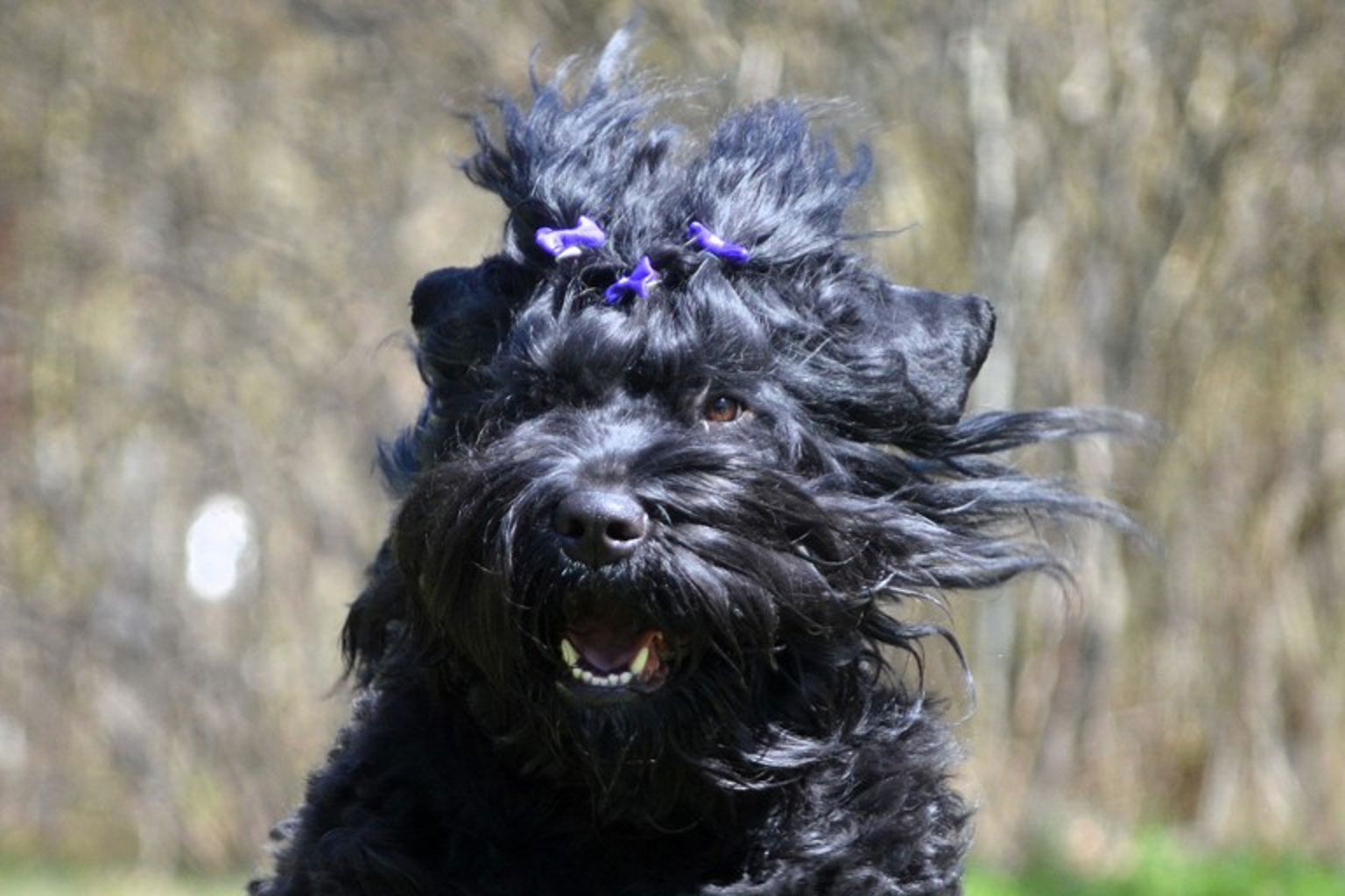 Foto: Tina Johansson