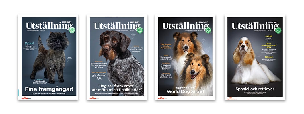 Omslagsbilder från tidningen Hundsport Utställning