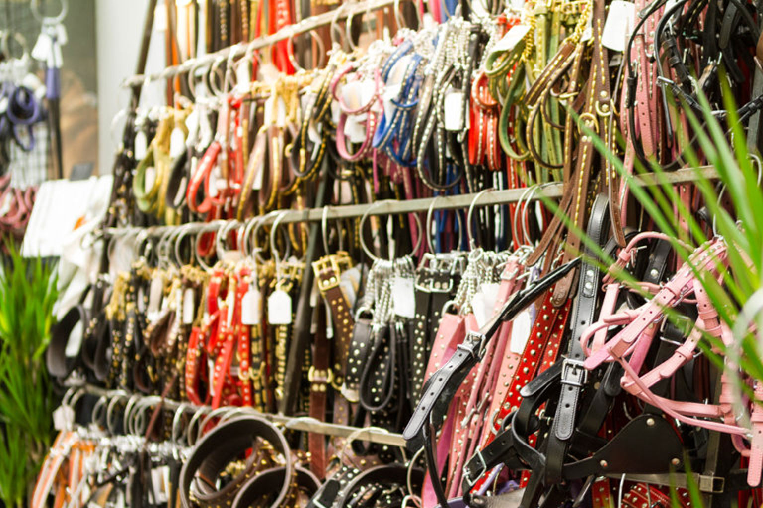 Foto: Jenny Jurnelius