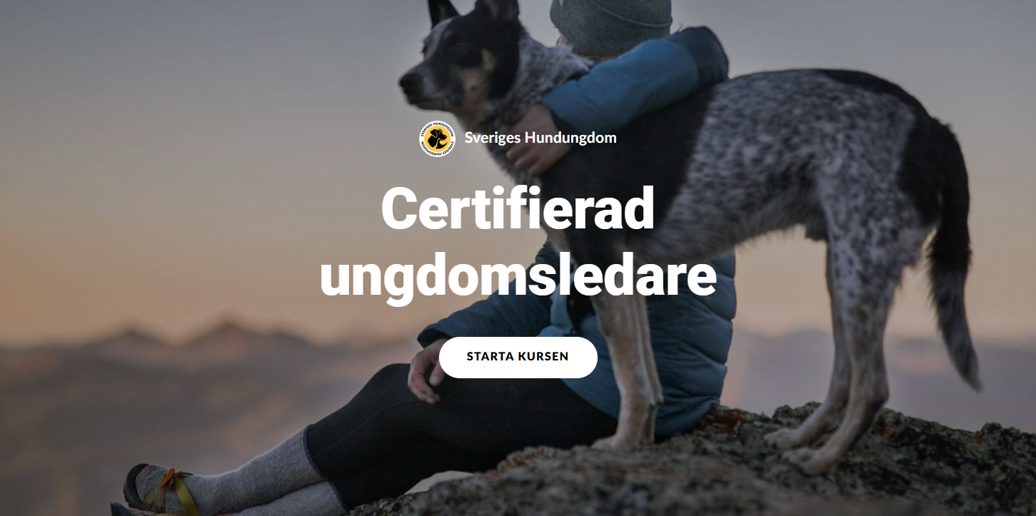 Certifierad ungdomsledare
