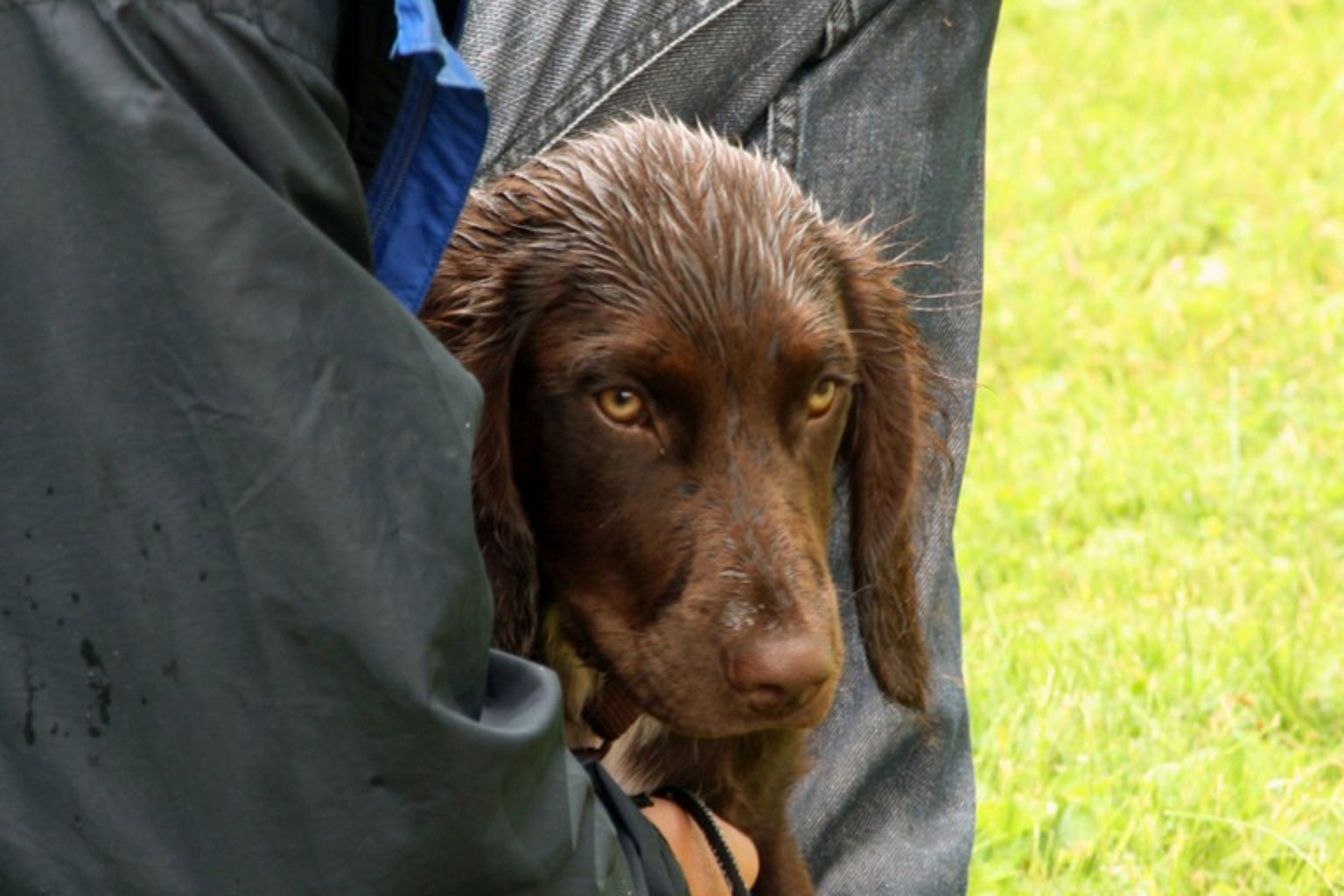 Foto: Lotta Bengtsson