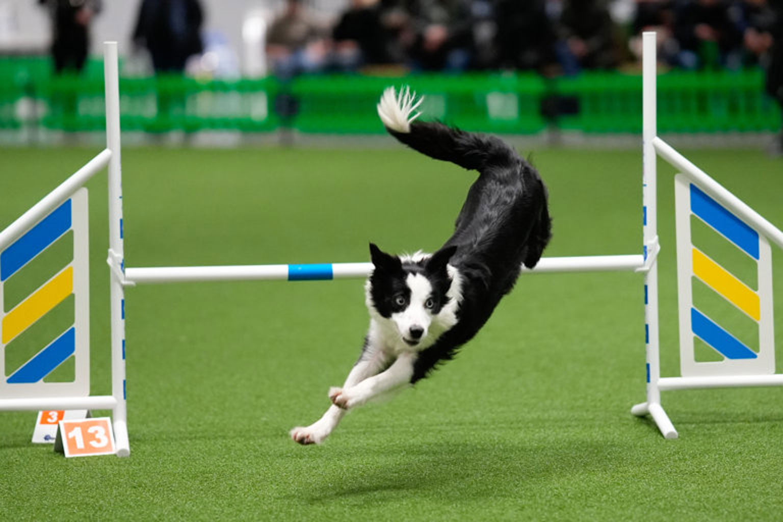 Måns Engelbrektsson fotograf