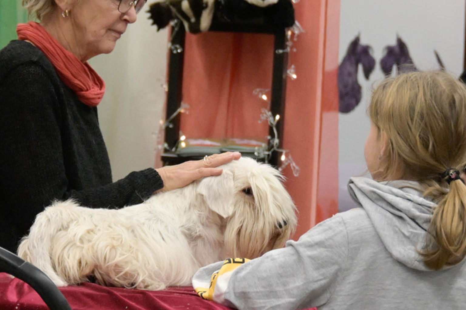 Foto: Cecilia Norgren