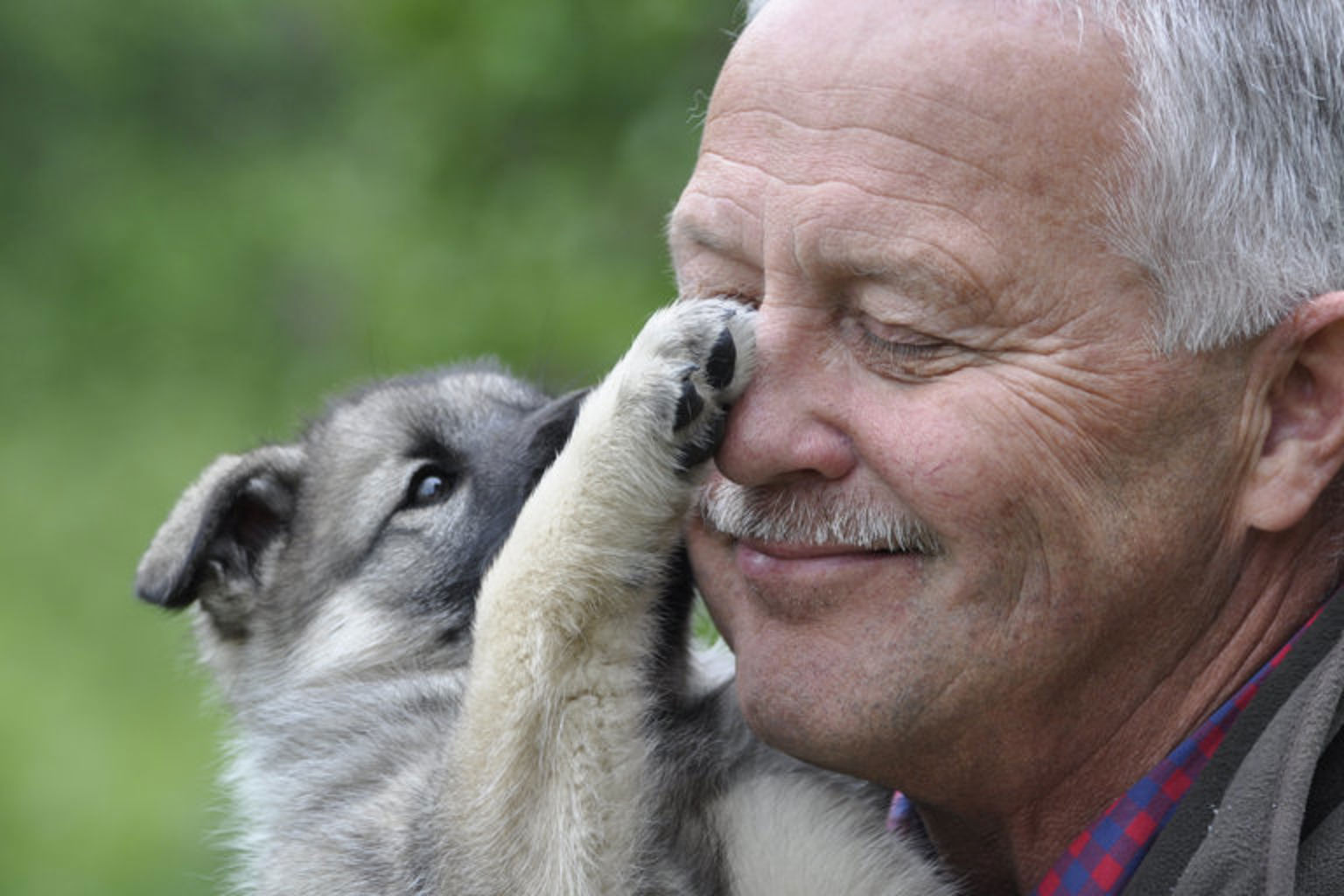 Foto: Anders Johansson