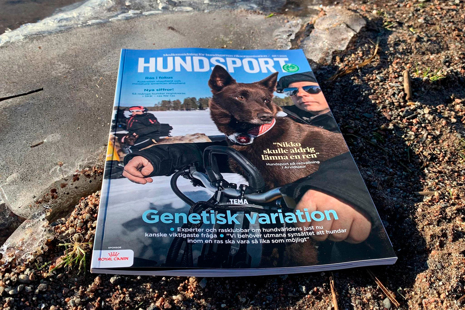 Omslagsfoto av tidningen Hundsport