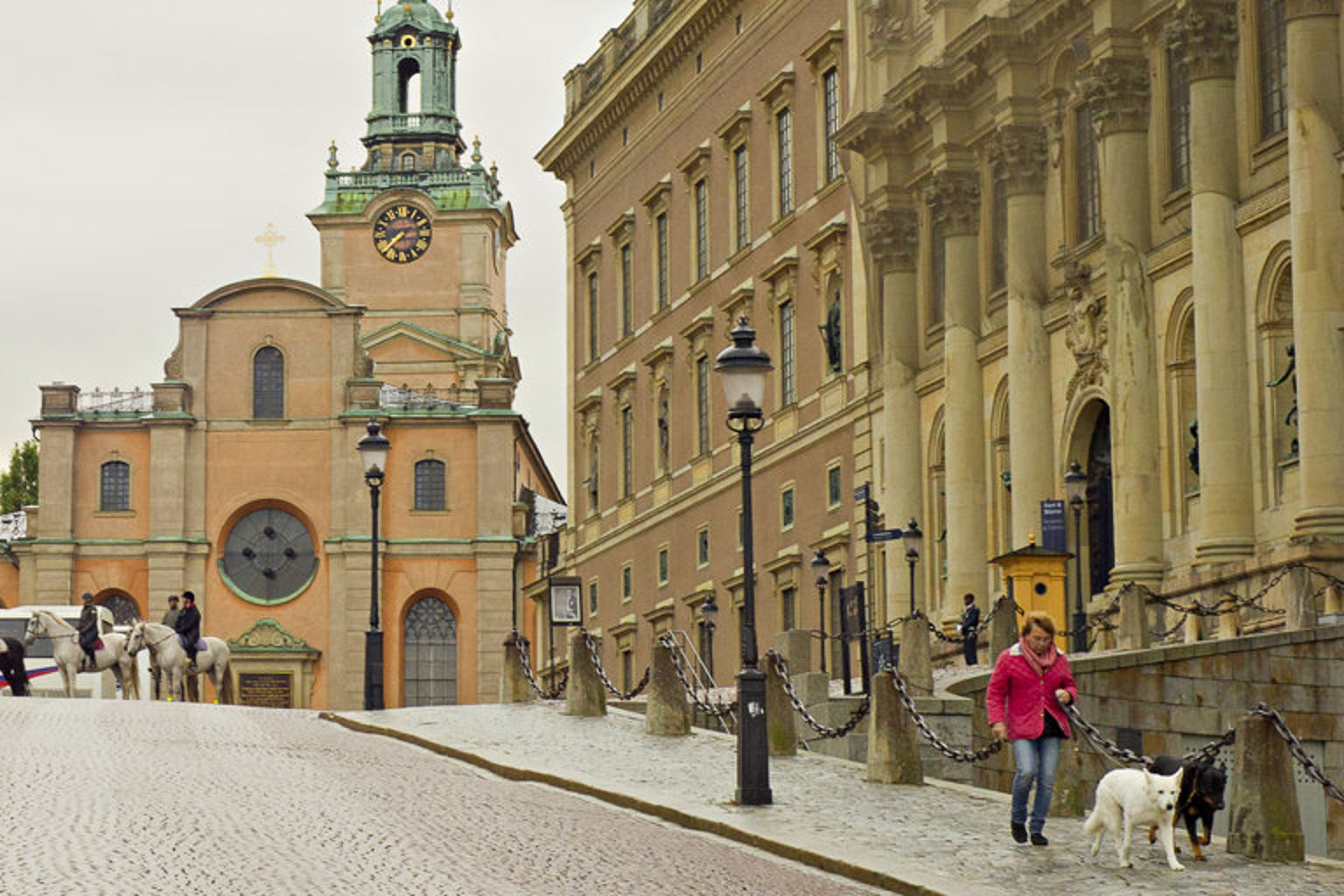A woman walking two dogs down a cobblestone street.
