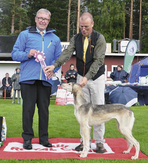 Bästa valp söndag
