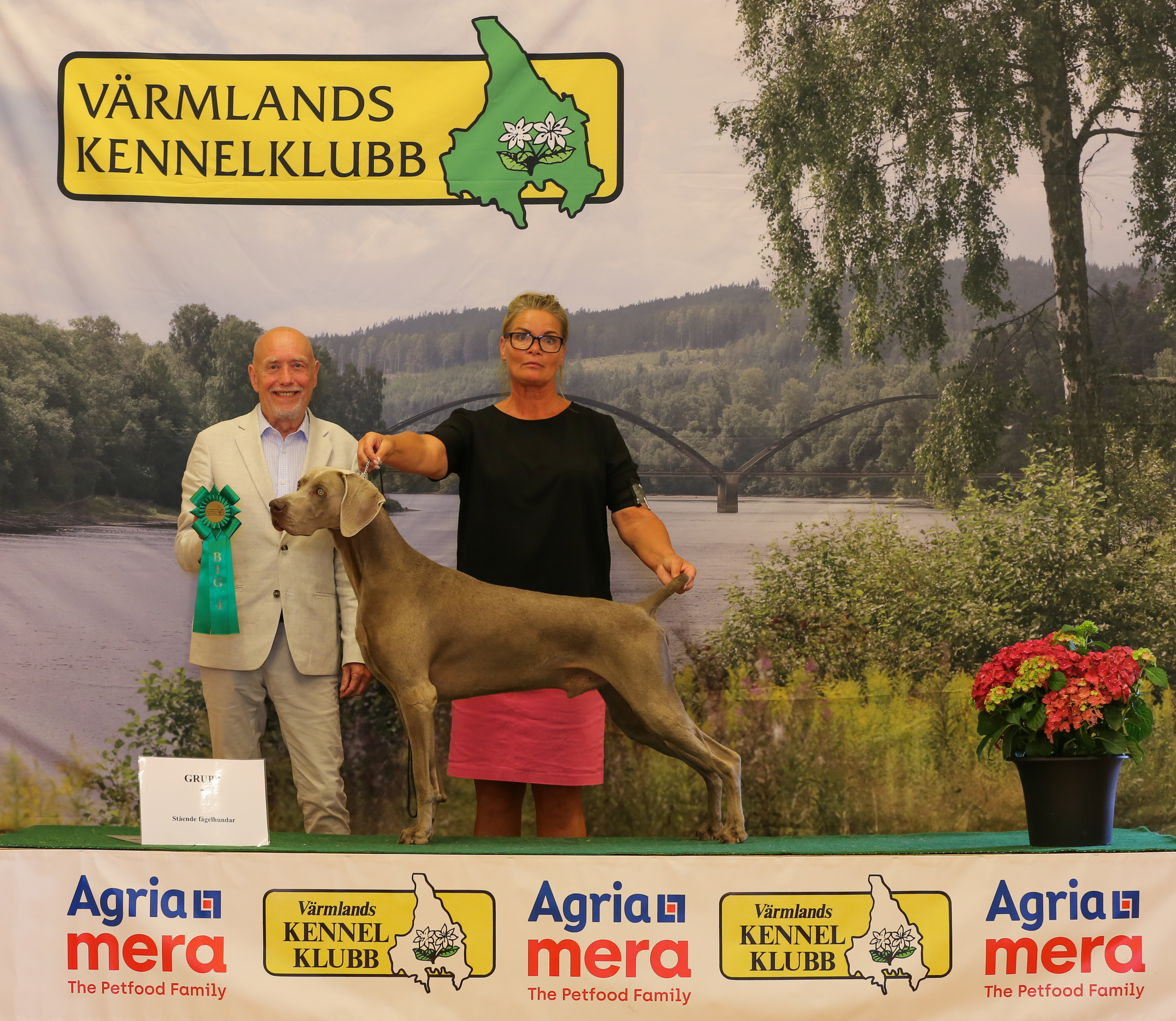 BIG-4 Grupp 7