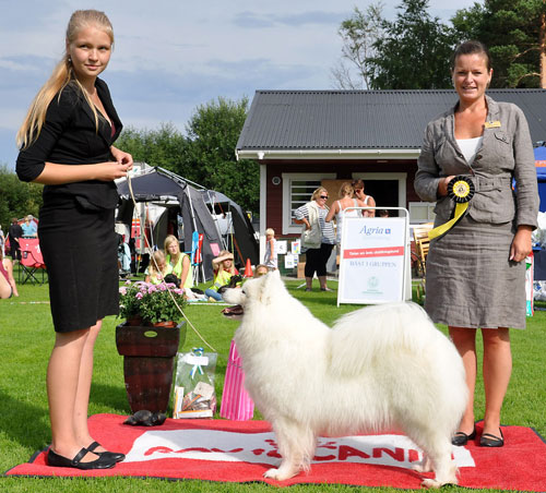 Juniorh lördag