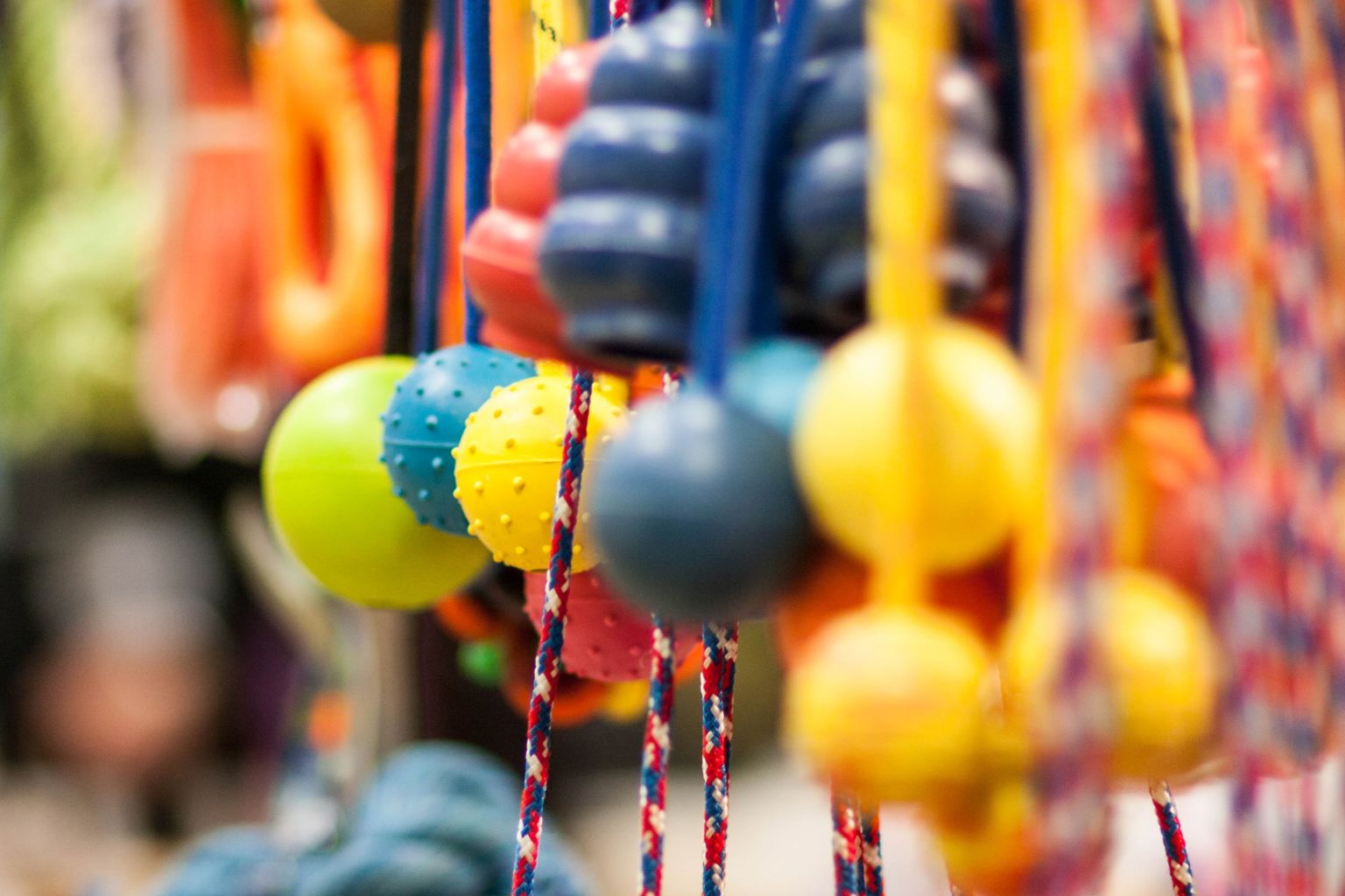 A bunch of colorful dog toys.