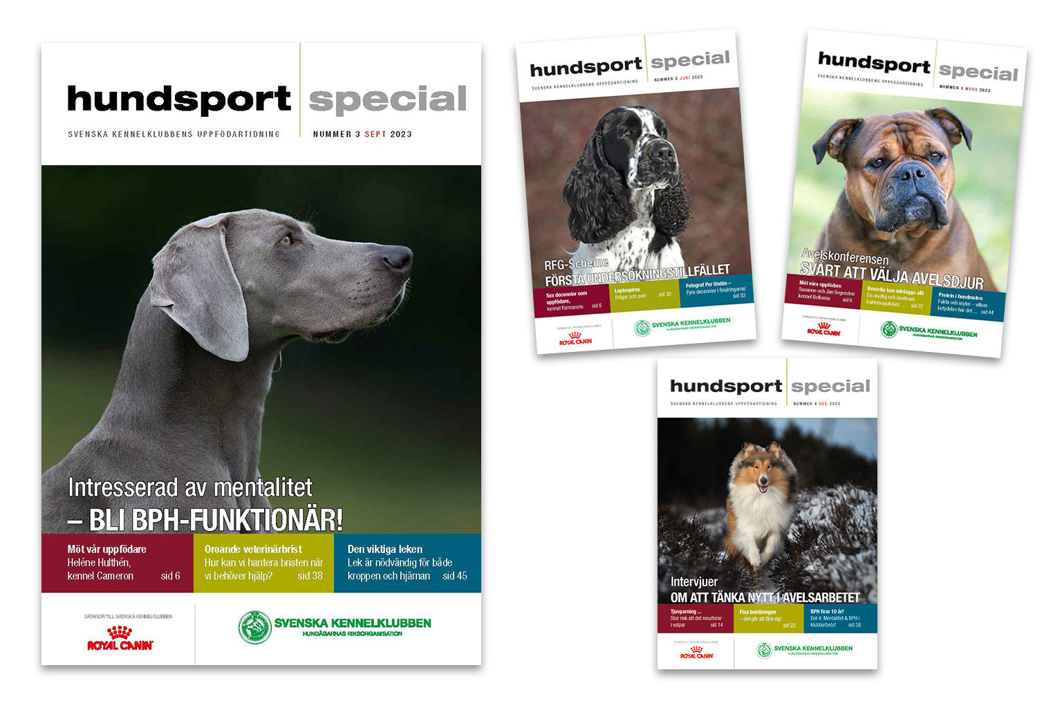 Omslagsbilder från tidningen Hundsport Special