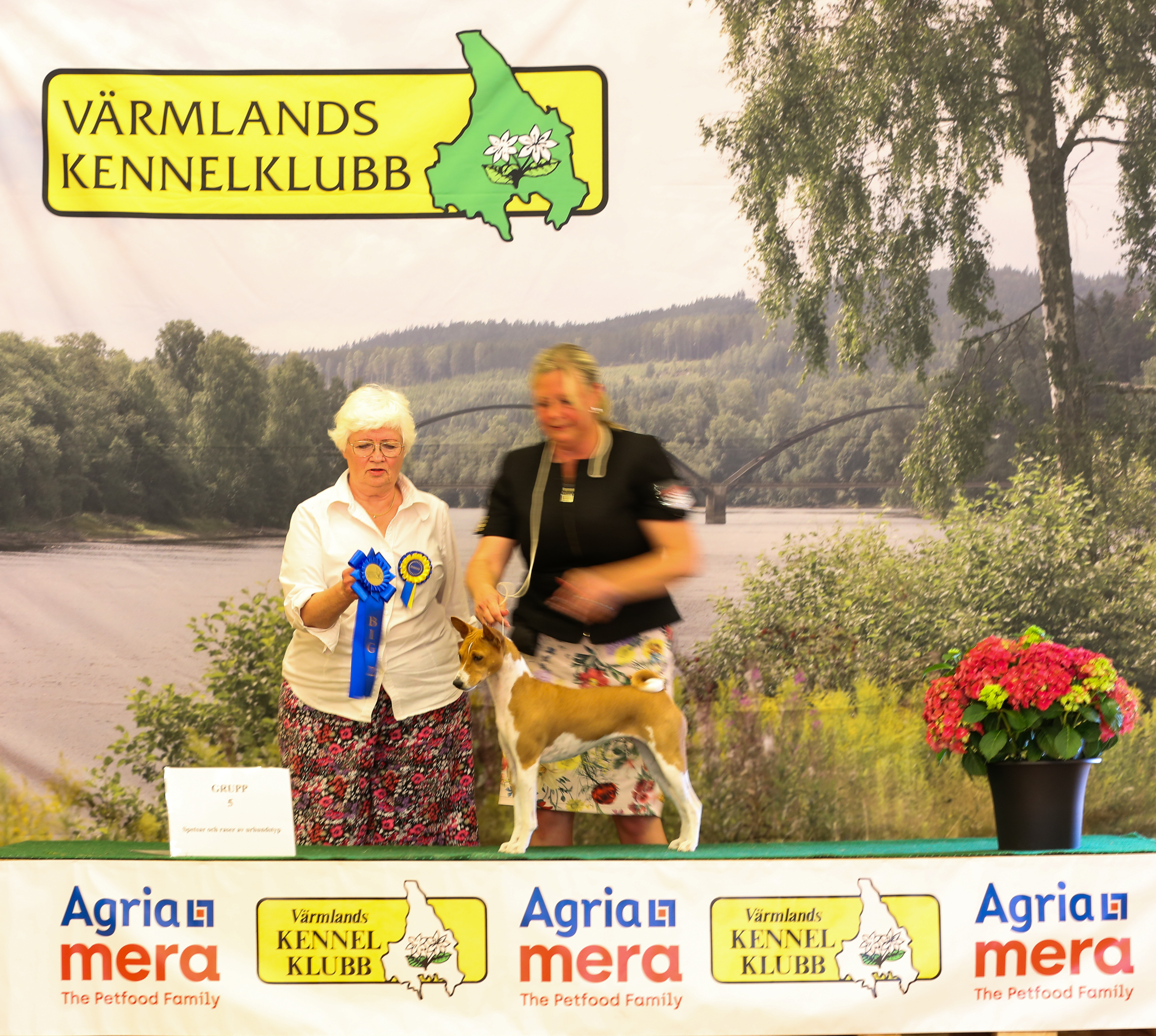 BIG-2 Grupp 5
