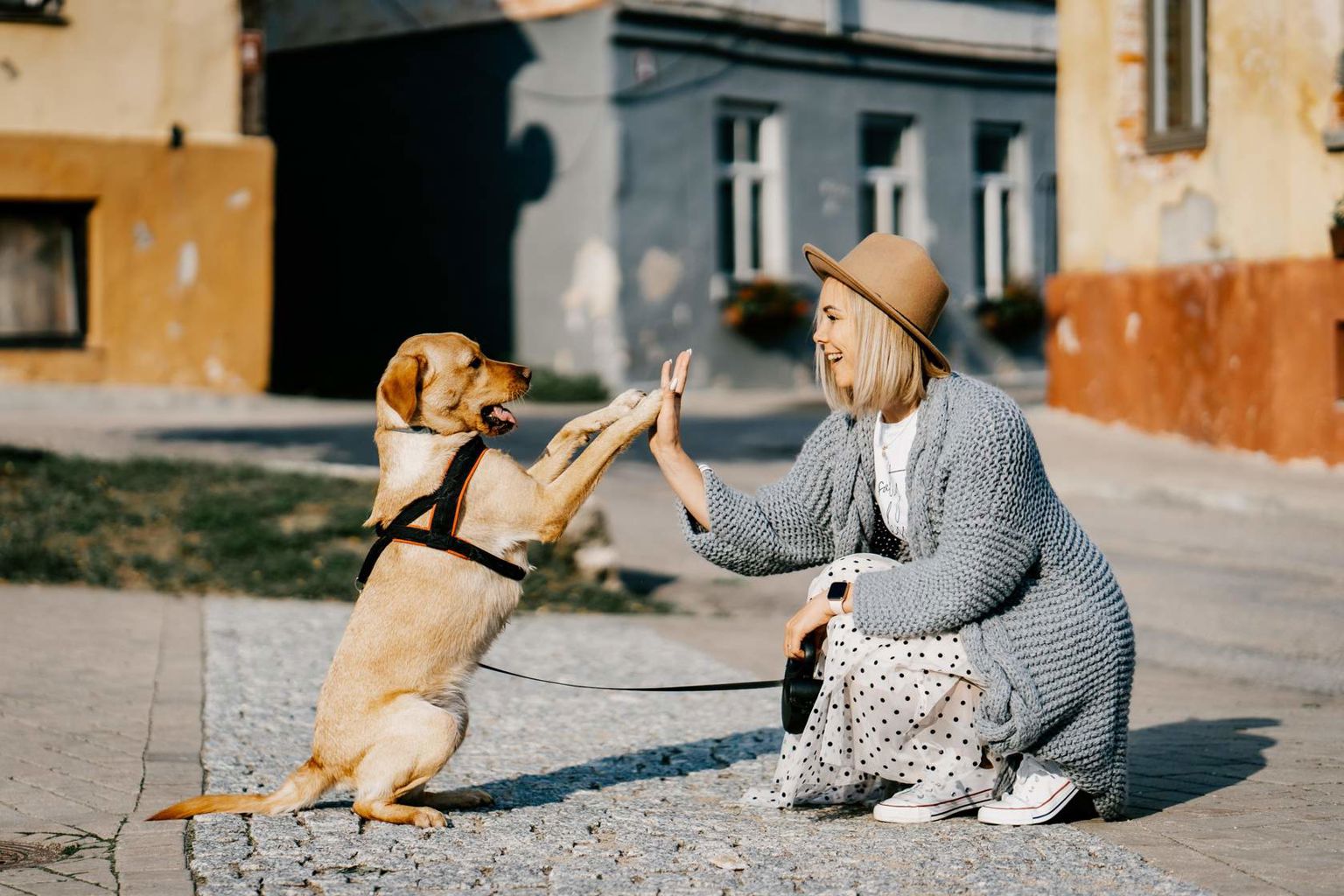 Hund och kvinna "high fivear" varandra.