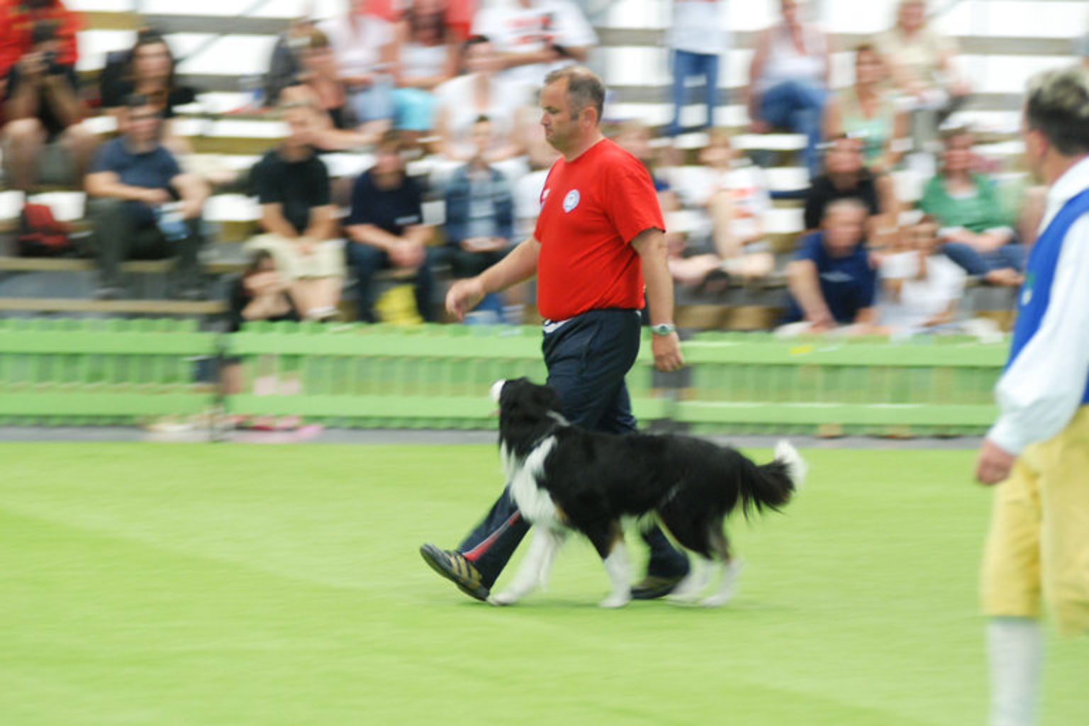 VM i lydnad 2008. Lydnadsekipage på plan.