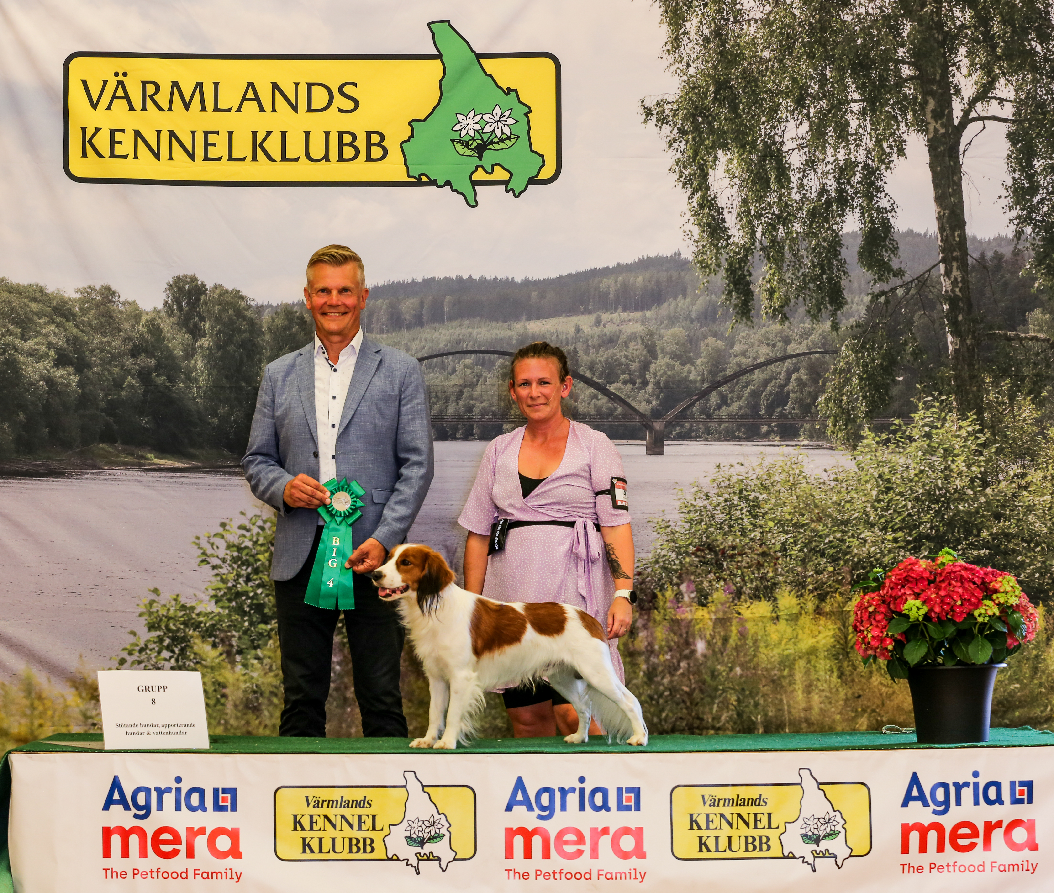 BIG-4 Grupp 8