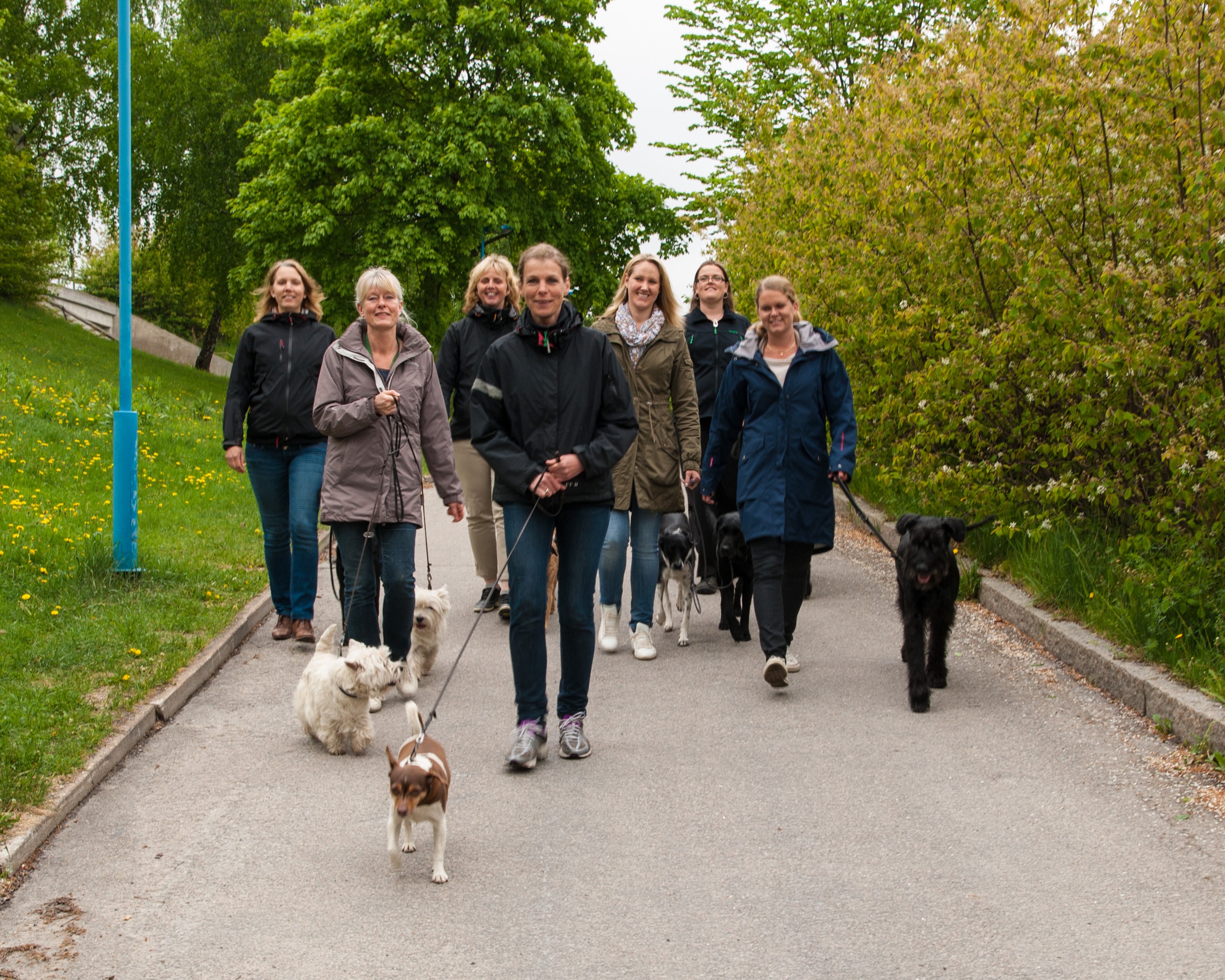 Fotograf: Måns Engelbrektsson. Hundpromenad.