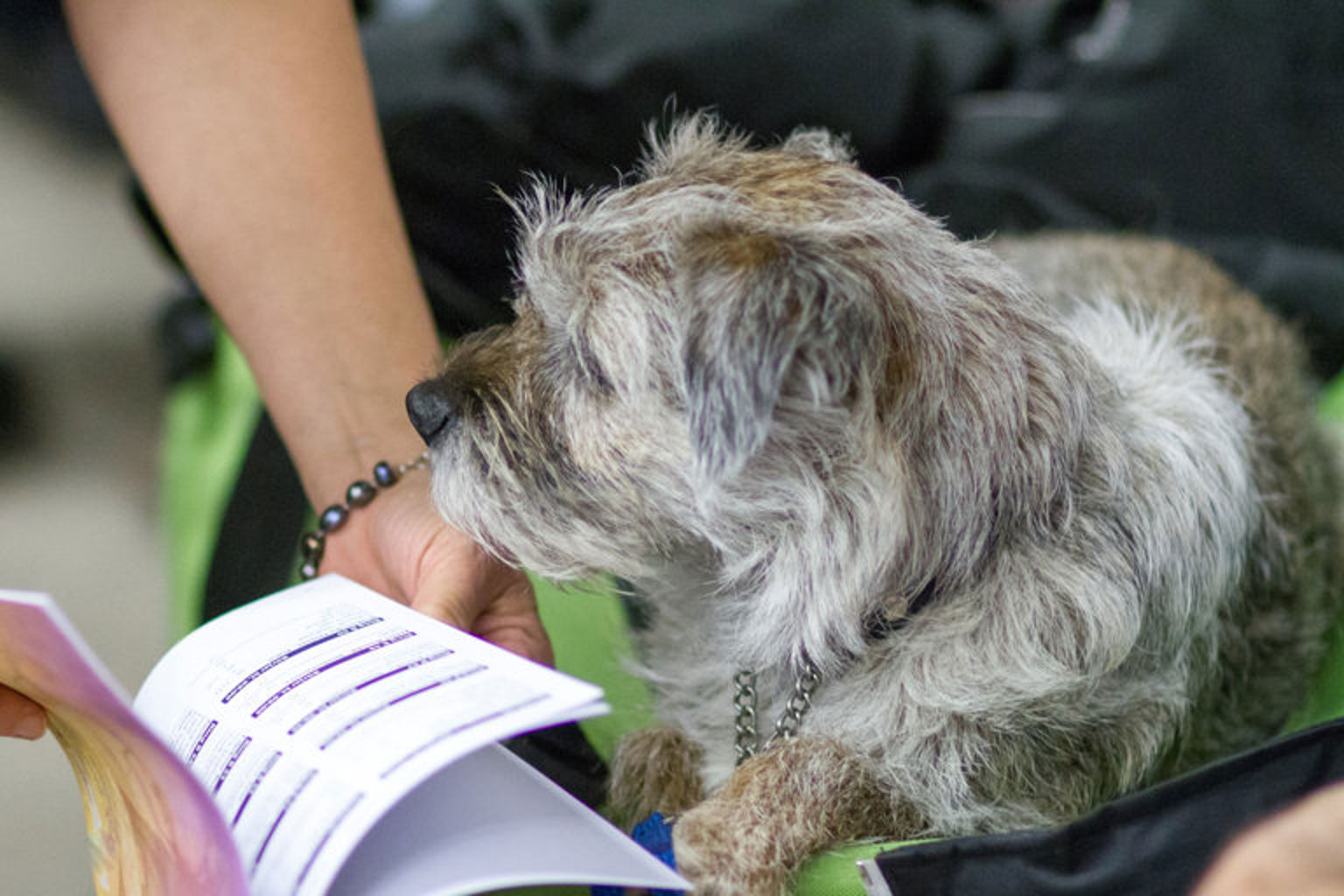 Foto: Jenny Jurnelius