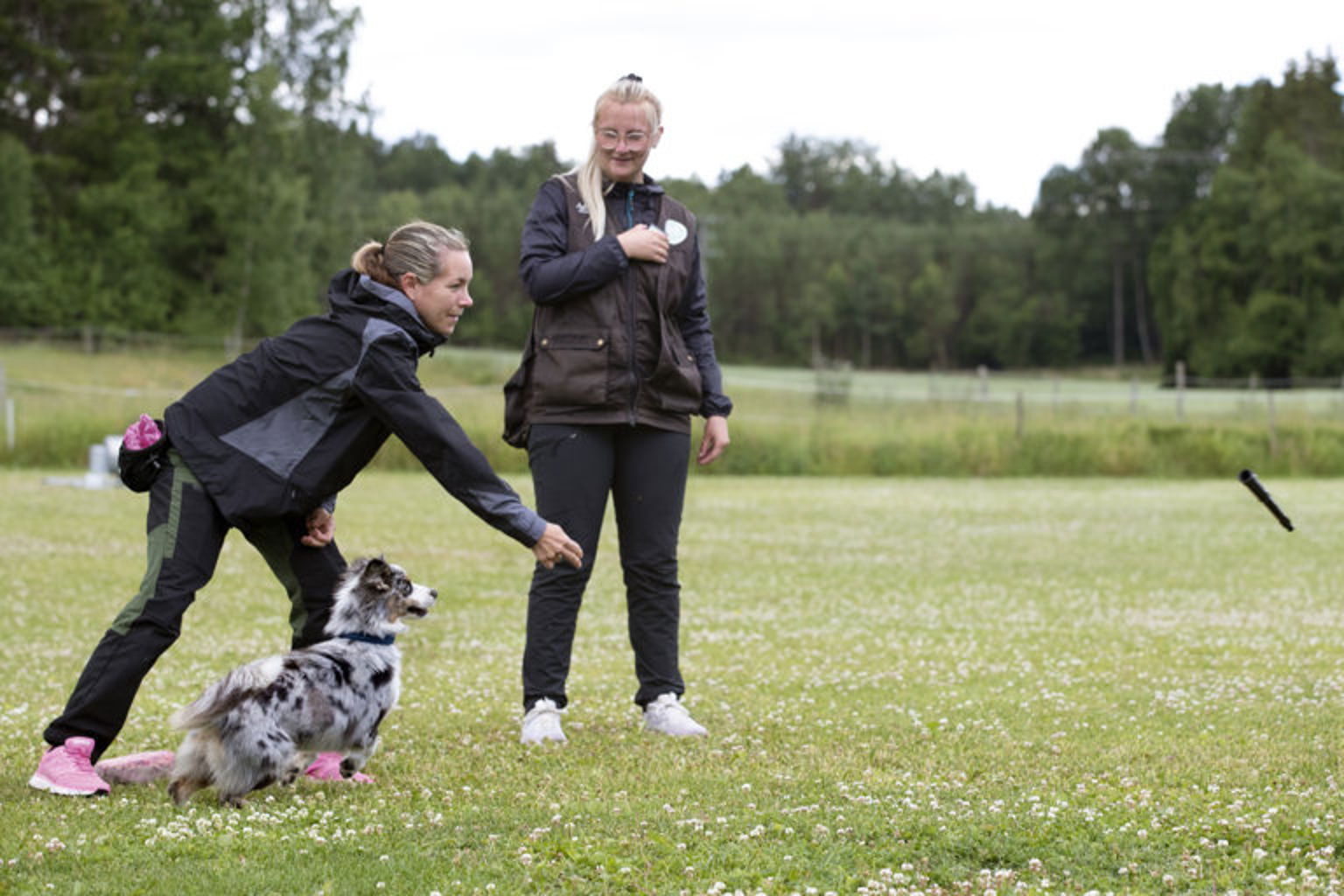 hundägare kastar en leksak till sin hund