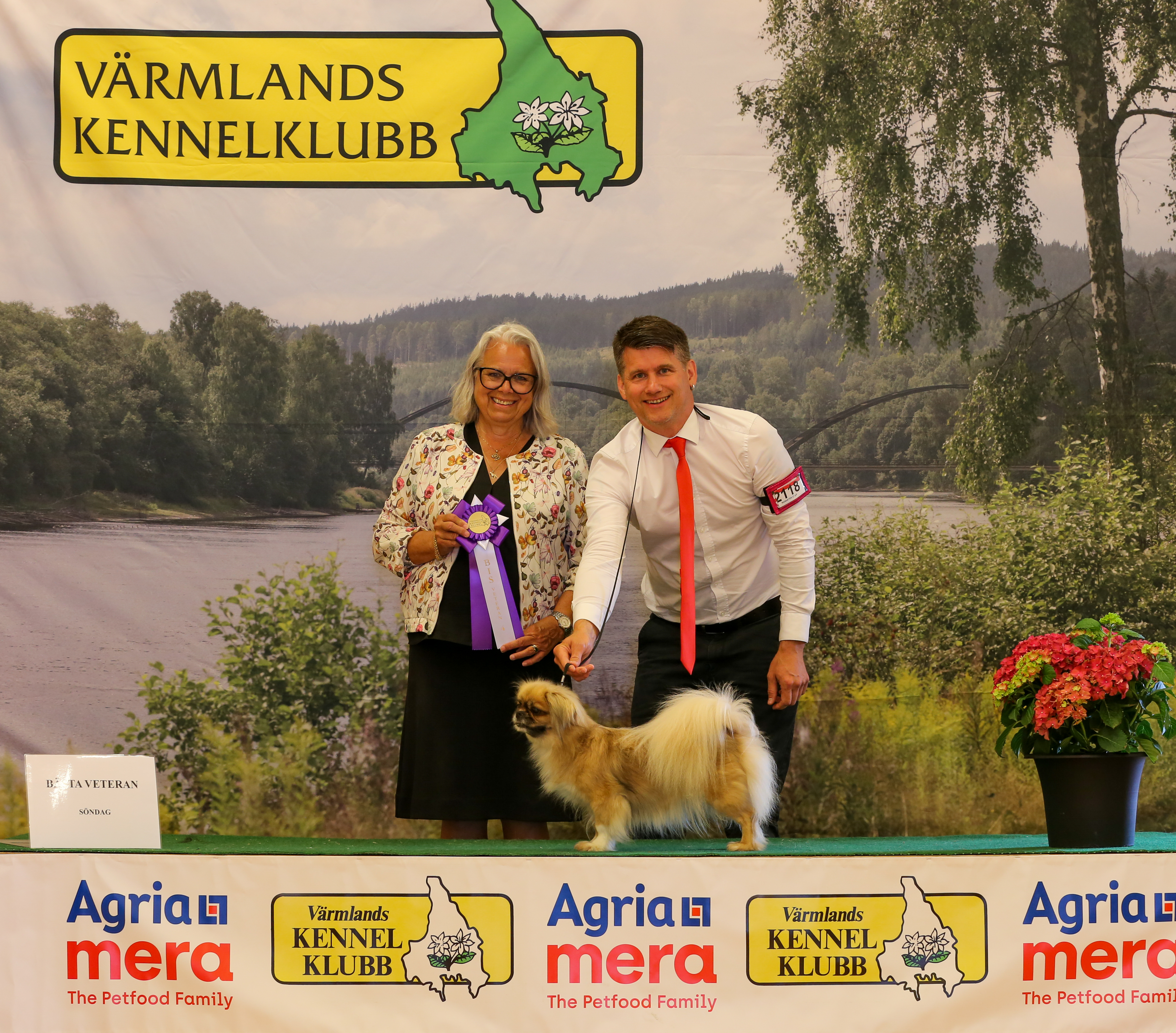 Vet 4 söndag
