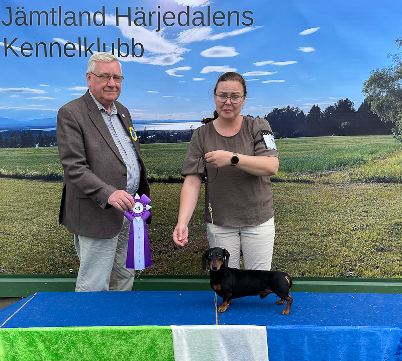 Bästa veteran lördag