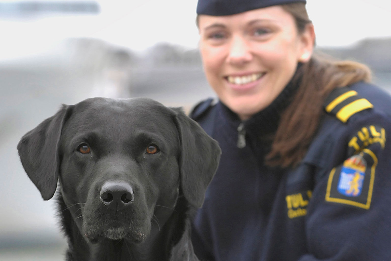 Årets narkotikasökhund 2009 Megadroms Abbot-Ale "Abbe"