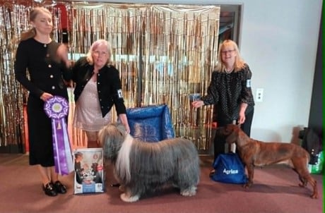 Värmlands Vackraste Veteran 2025 & Runner Up
