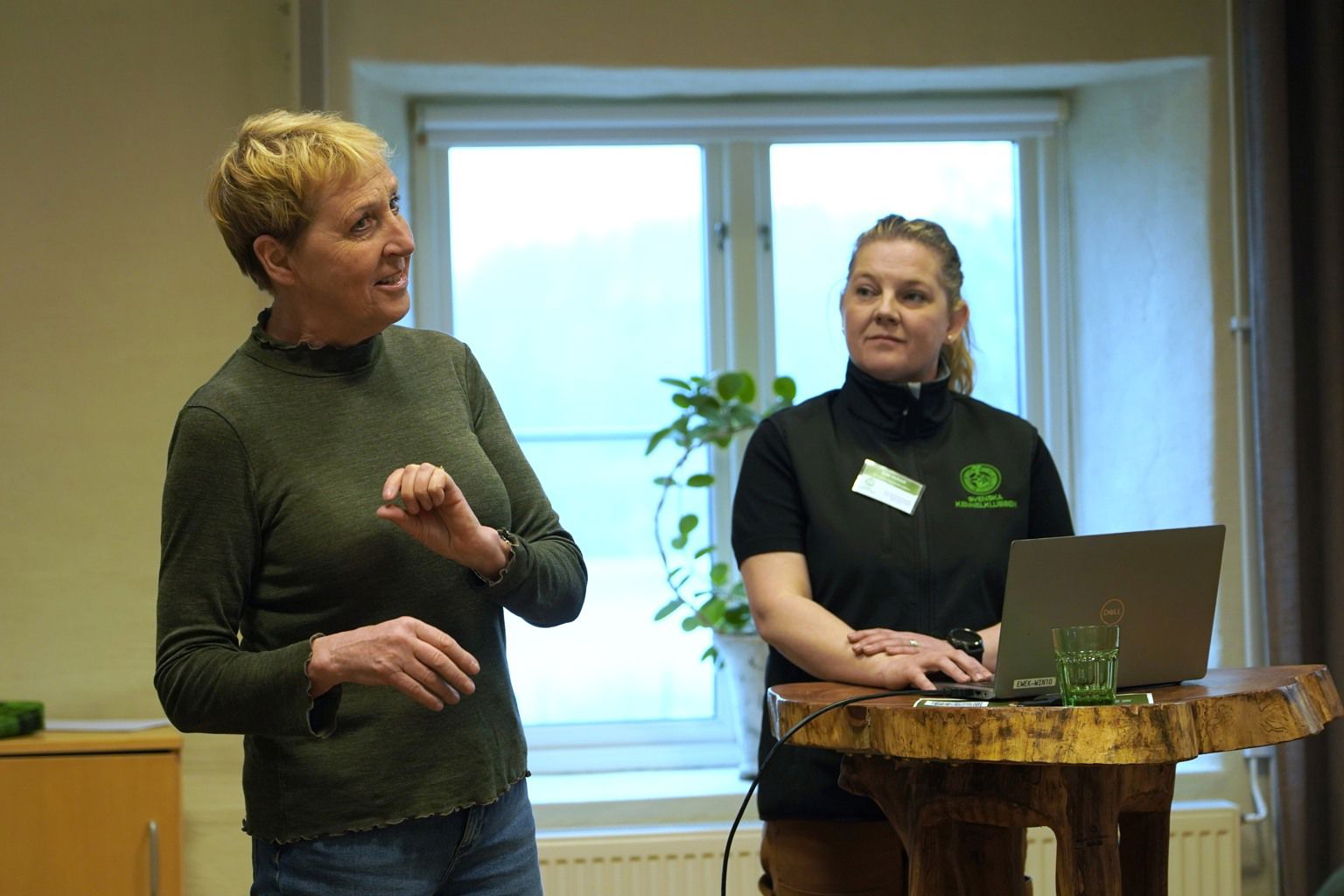 Britt-Marie Dornell och Ewa Ekfeldt