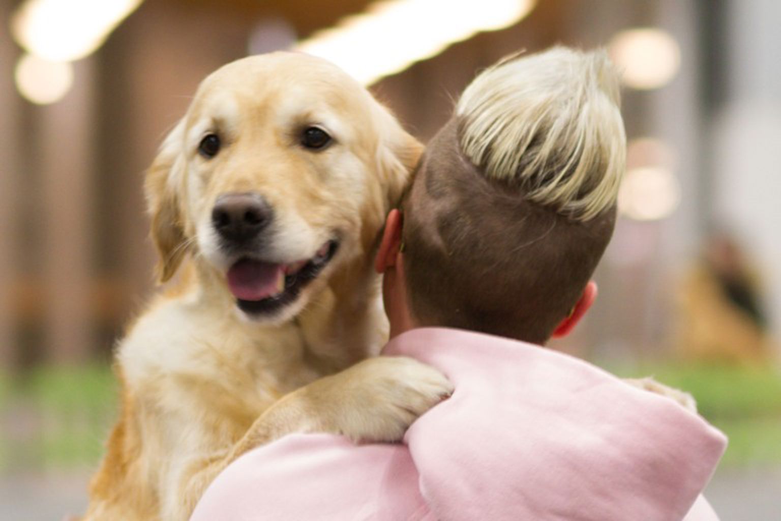 Foto: Jenny Jurnelius