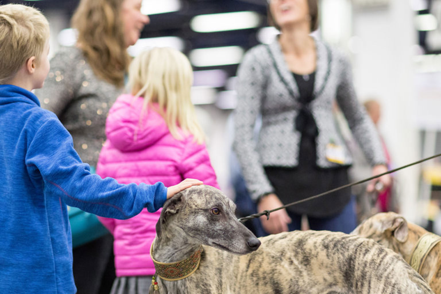 Foto: Jenny Jurnelius