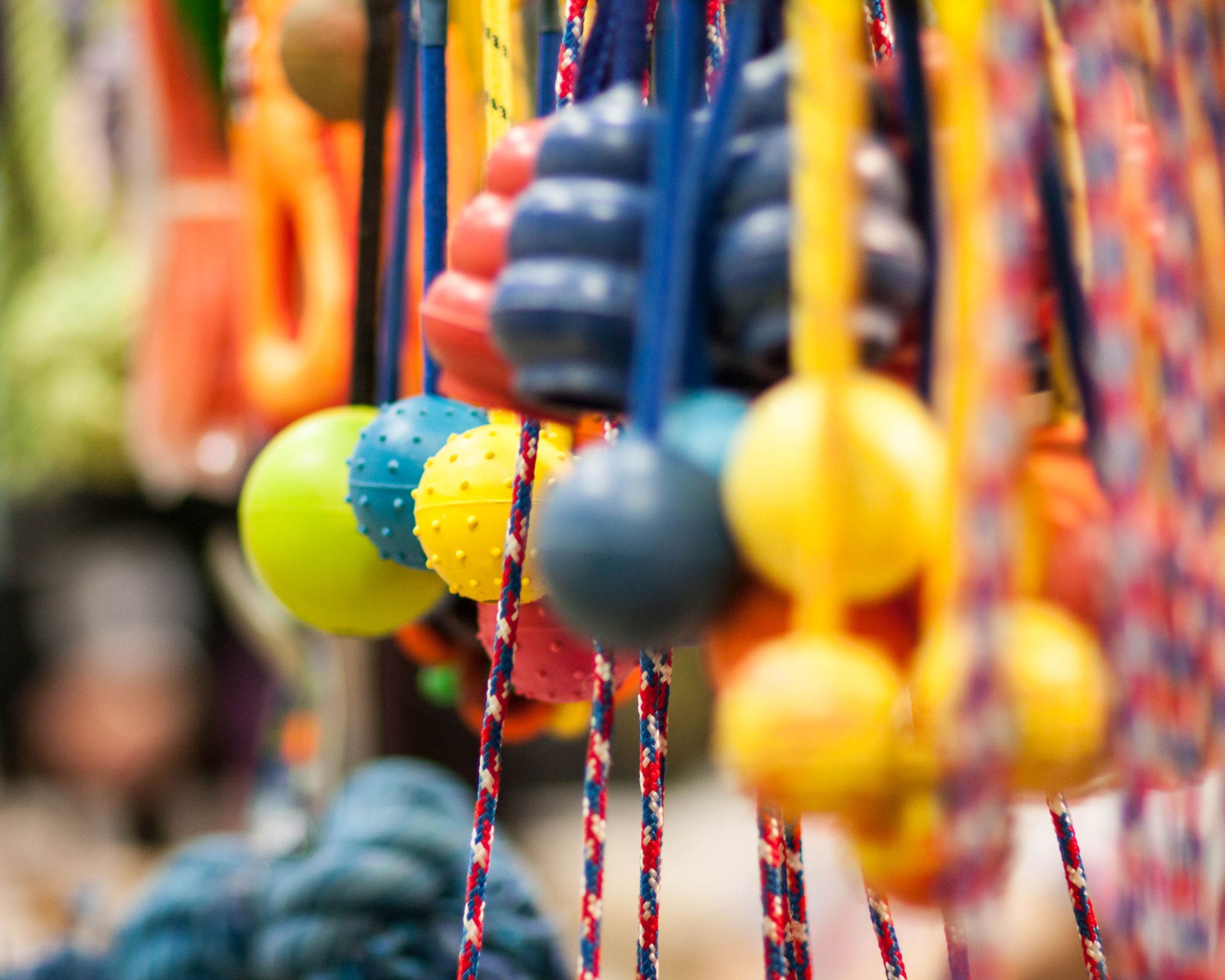A bunch of colorful dog toys.