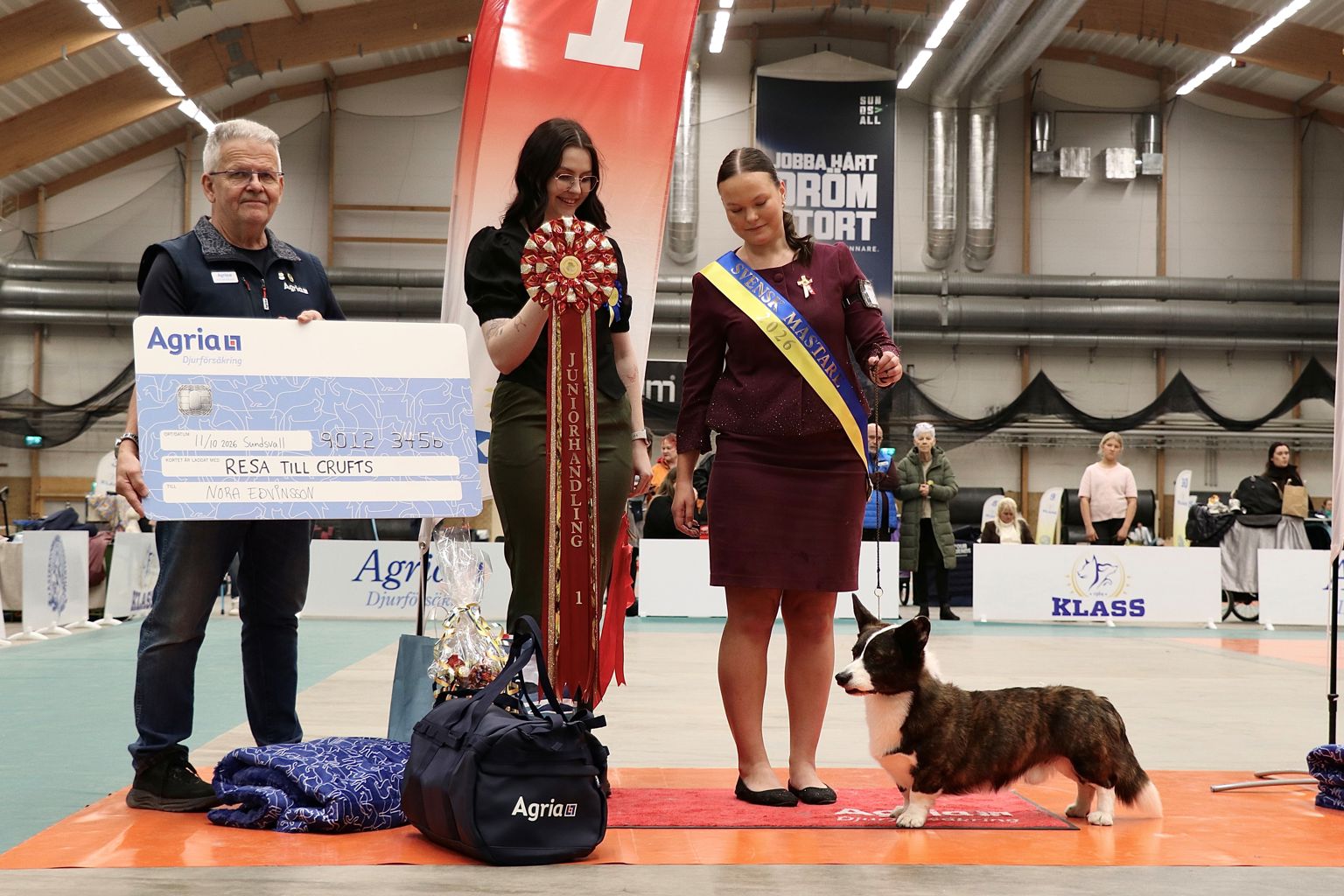 Nora Edvinsson tävlar med sin worgi cardigan Crazy Crush Bang-Bang ”Bill” 4 år som hon fött upp och äger själv. Foto: Patricia Eriksson.