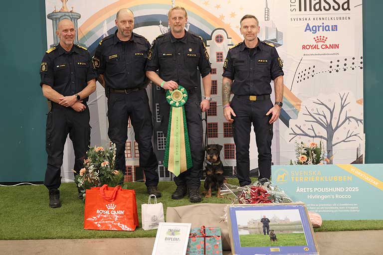 Årets polishund 2025 – Ivan. Foto: Jenny Jurnelius