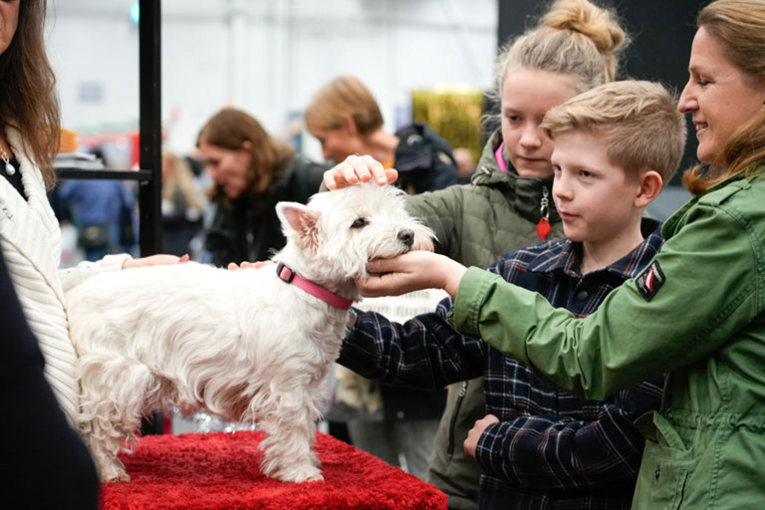 Besökare på mässan klappar en hund