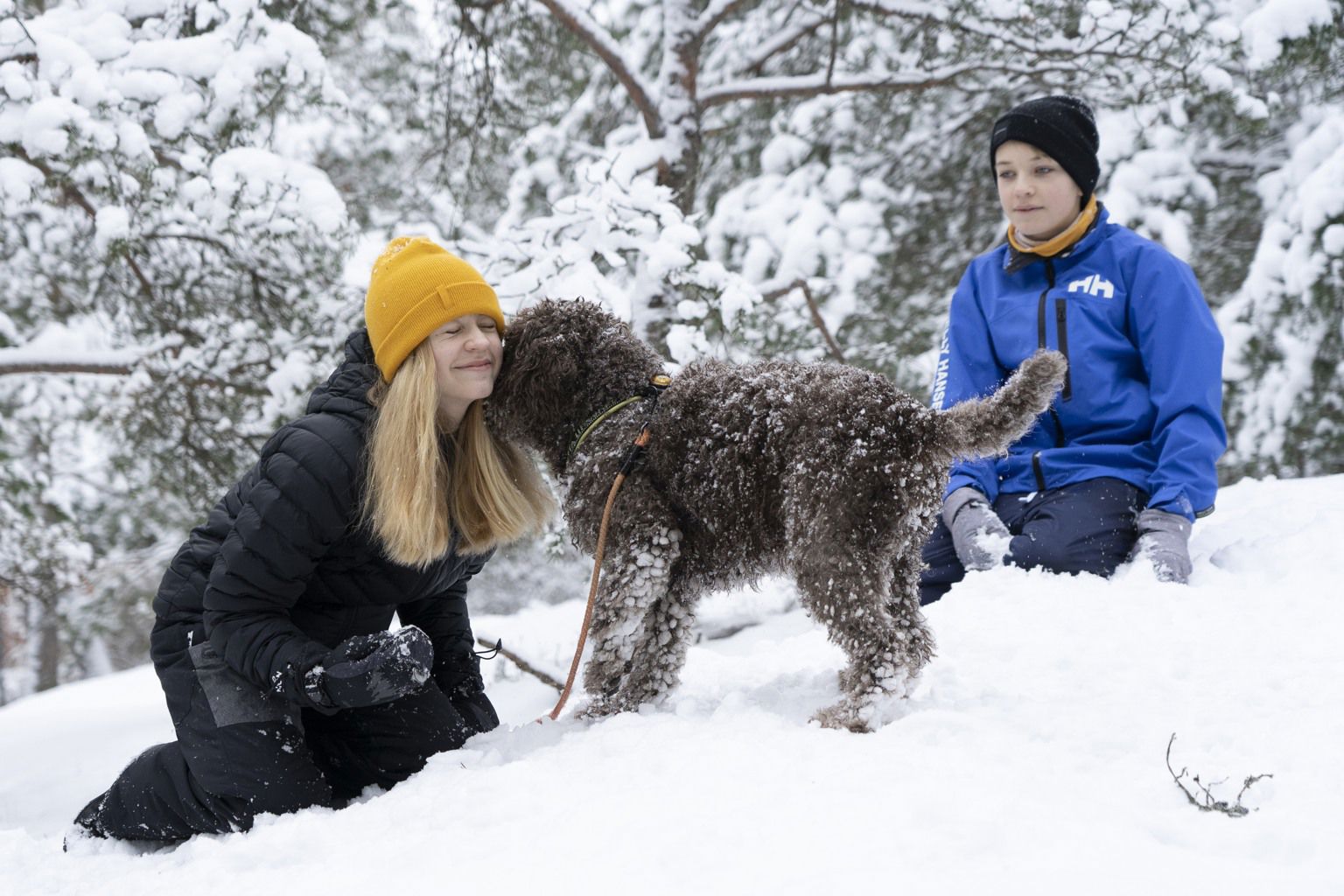 Hund som leker i snön