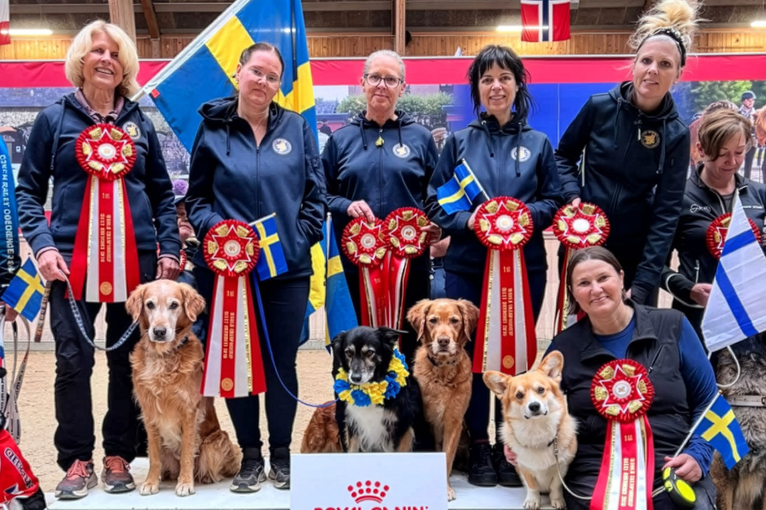 Svenska landslaget i rallylydnad på VM i Danmark 2026