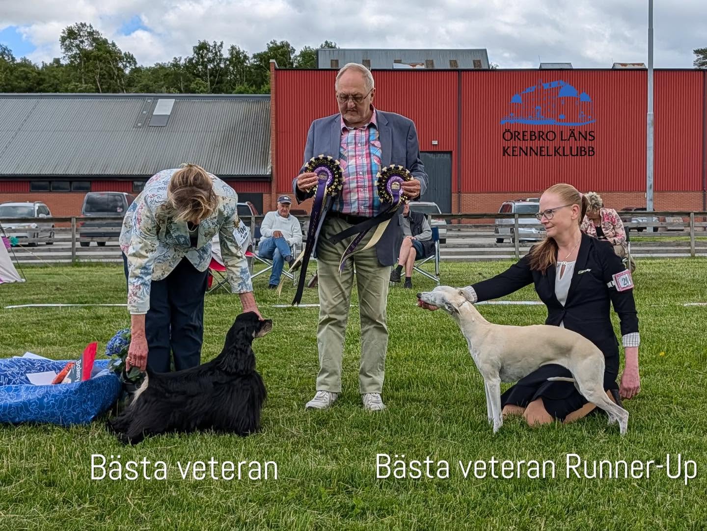 Bild på hundar som vunnit Vackraste veteran 2025 respektive runner up