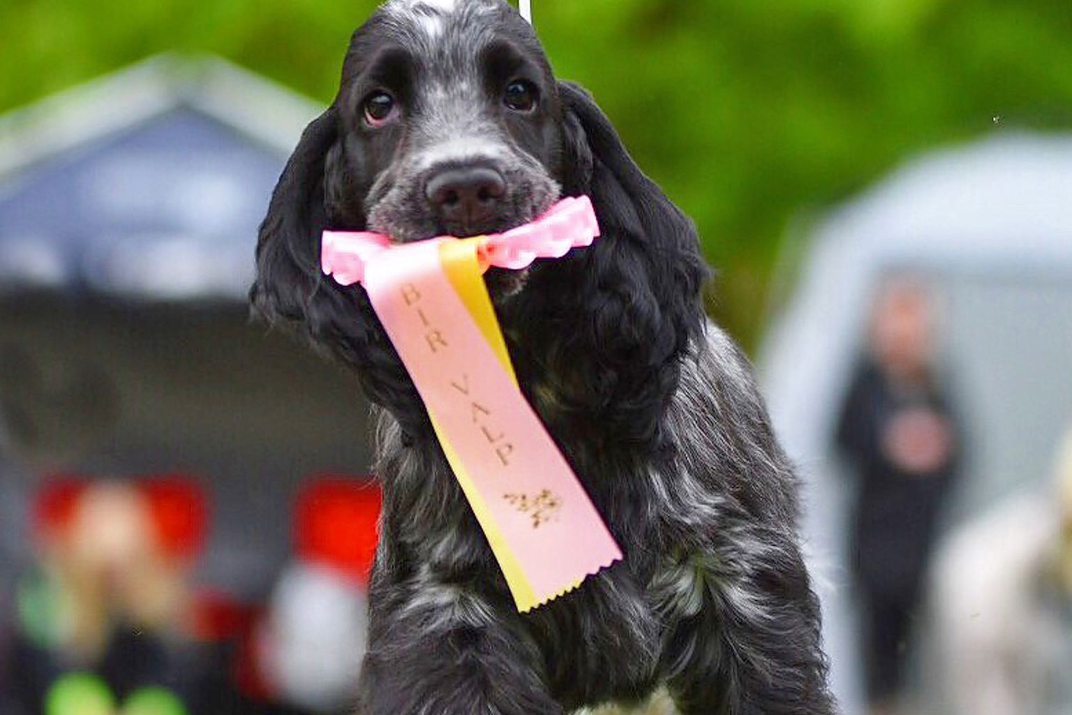 foto: Sandra Jönsson