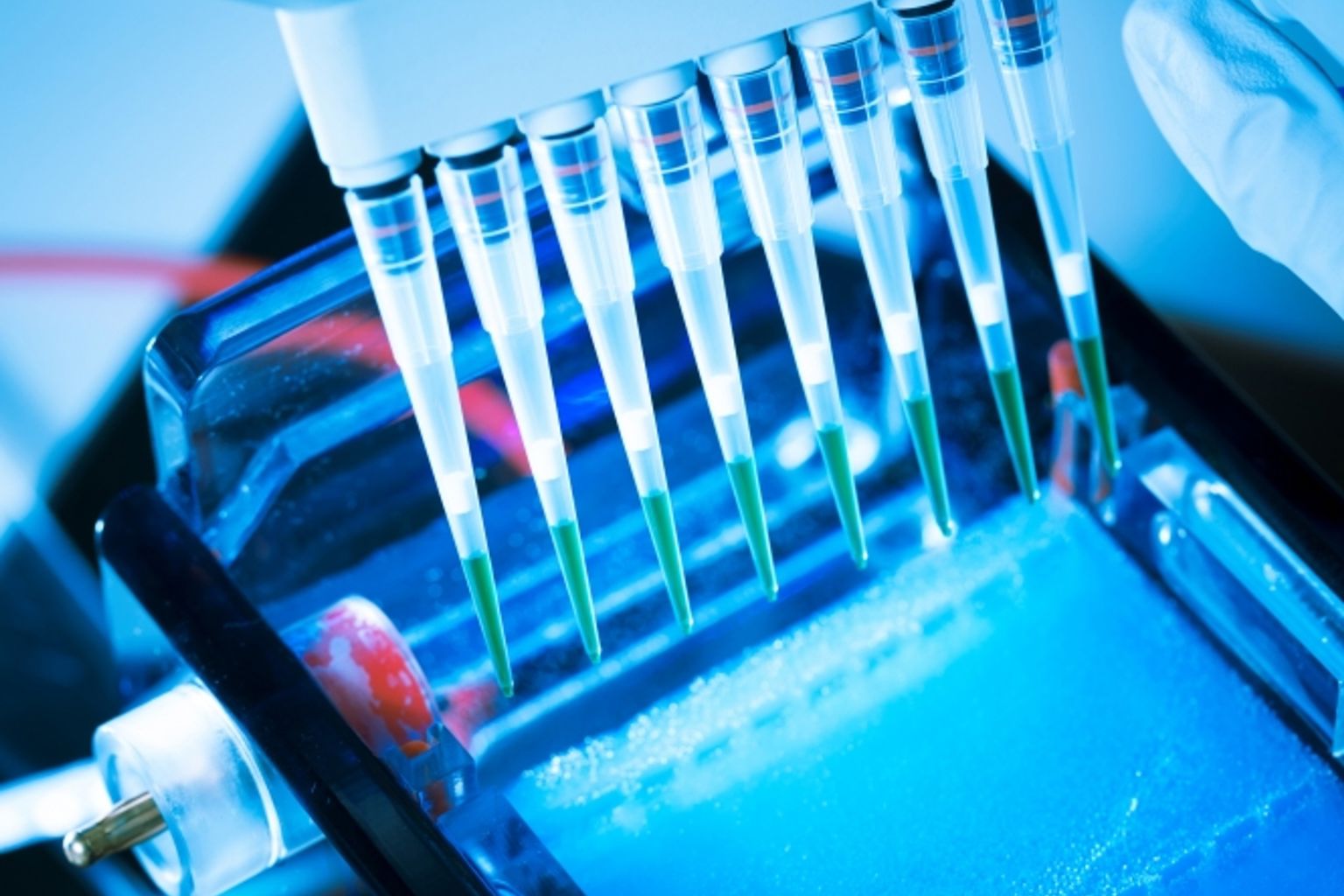 DNA analysis