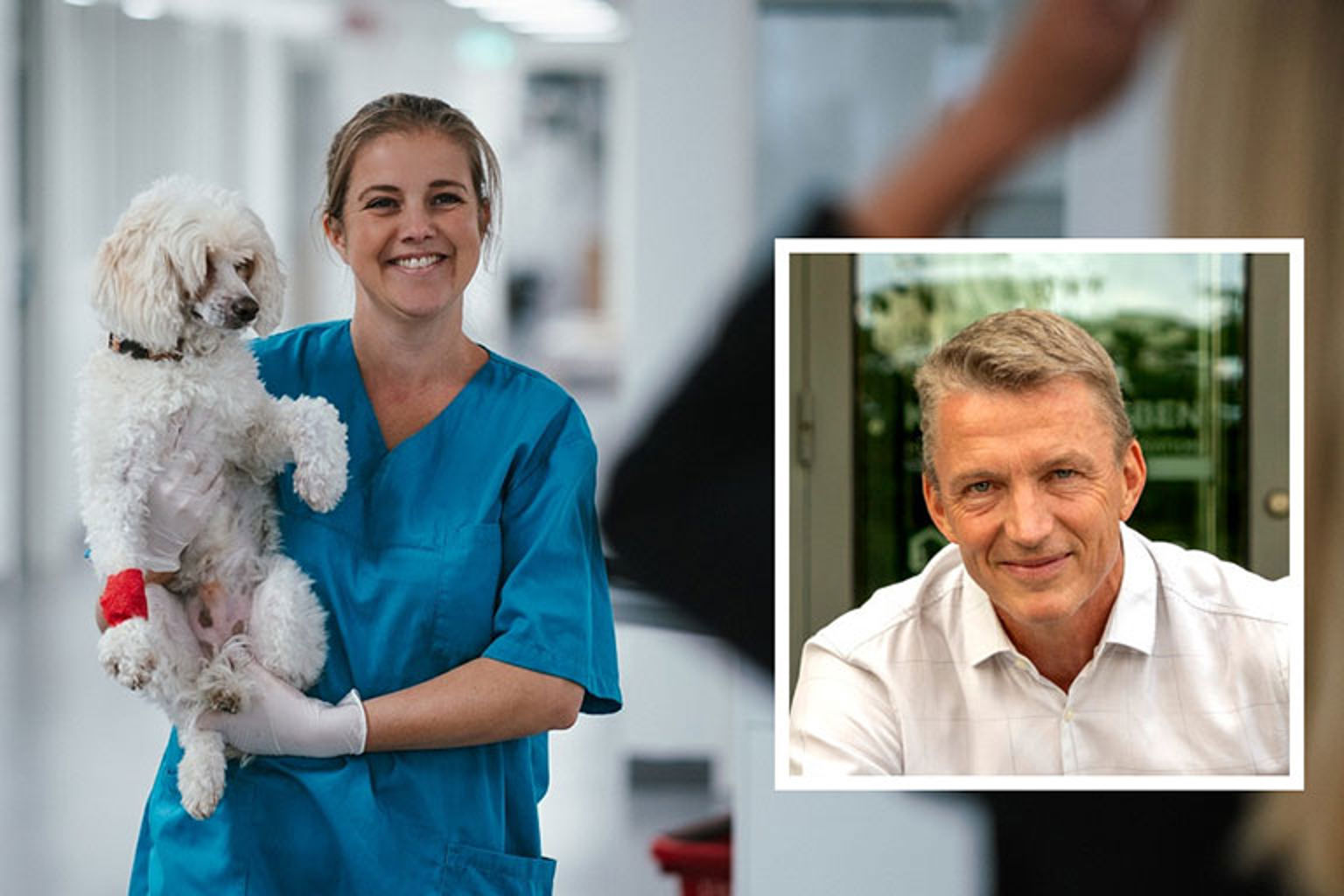 SKKs vd samt en veterinär med en valp i famnen