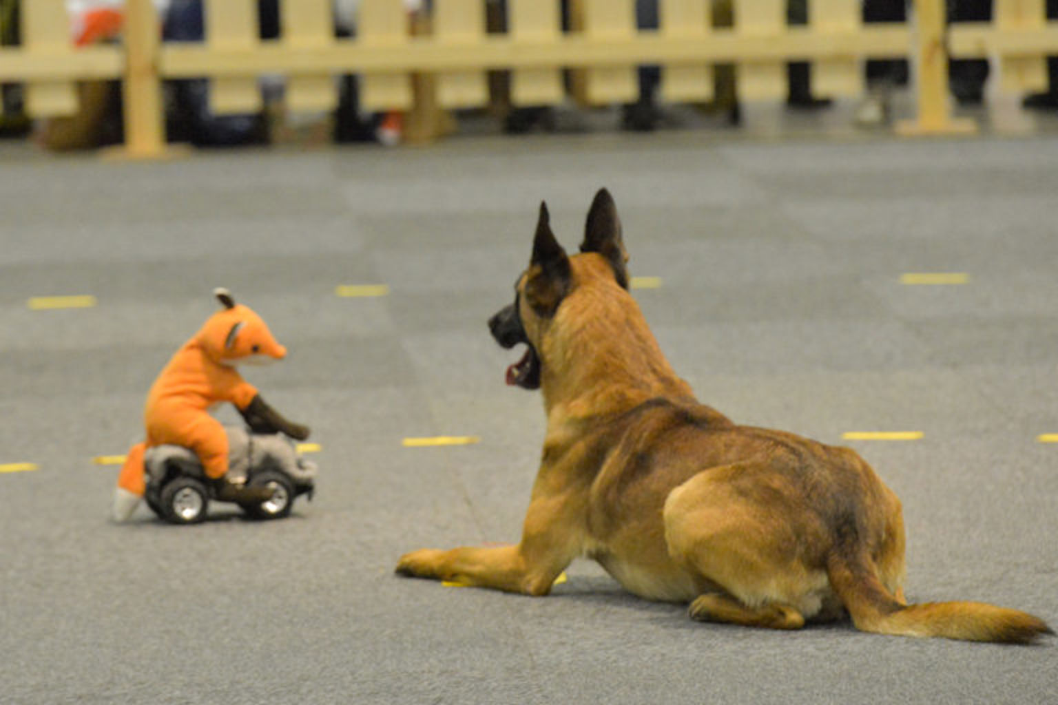 Foto: Johan Frick-Meijer