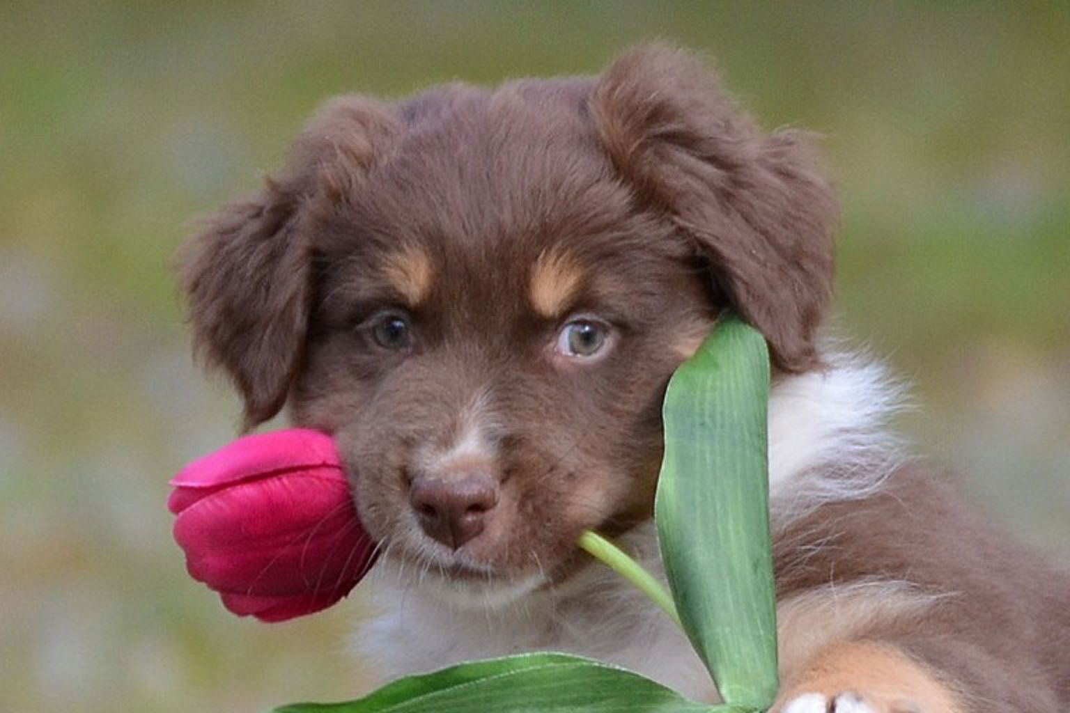 Foto: Tina Johansson