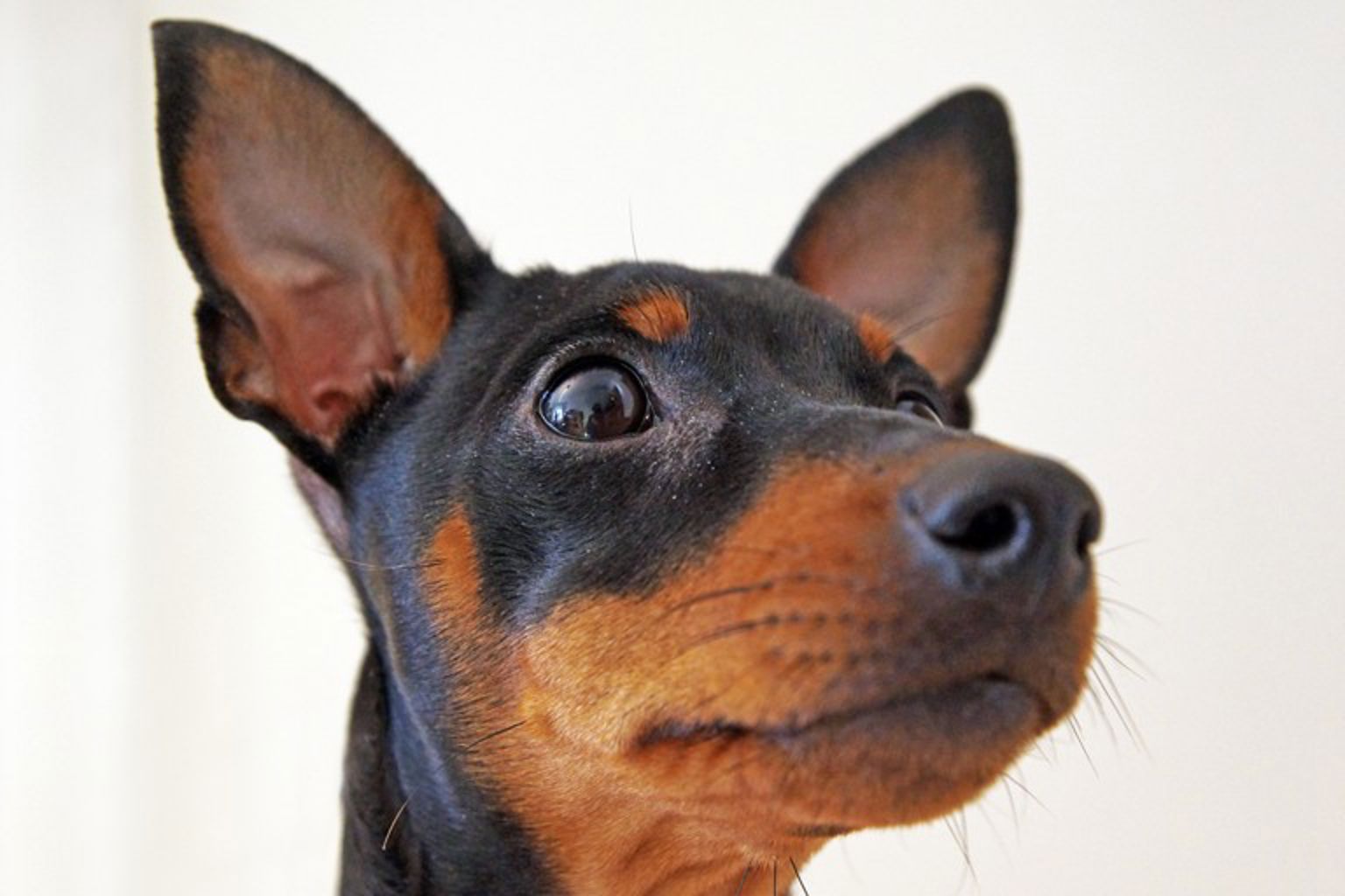 Foto: Lotta Bengtsson