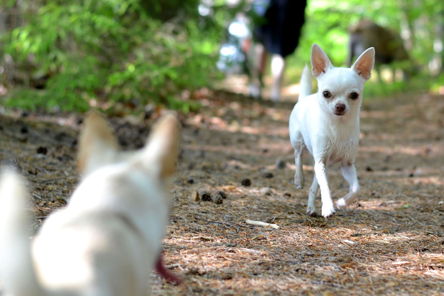 Fotograf Sandra Karlsson