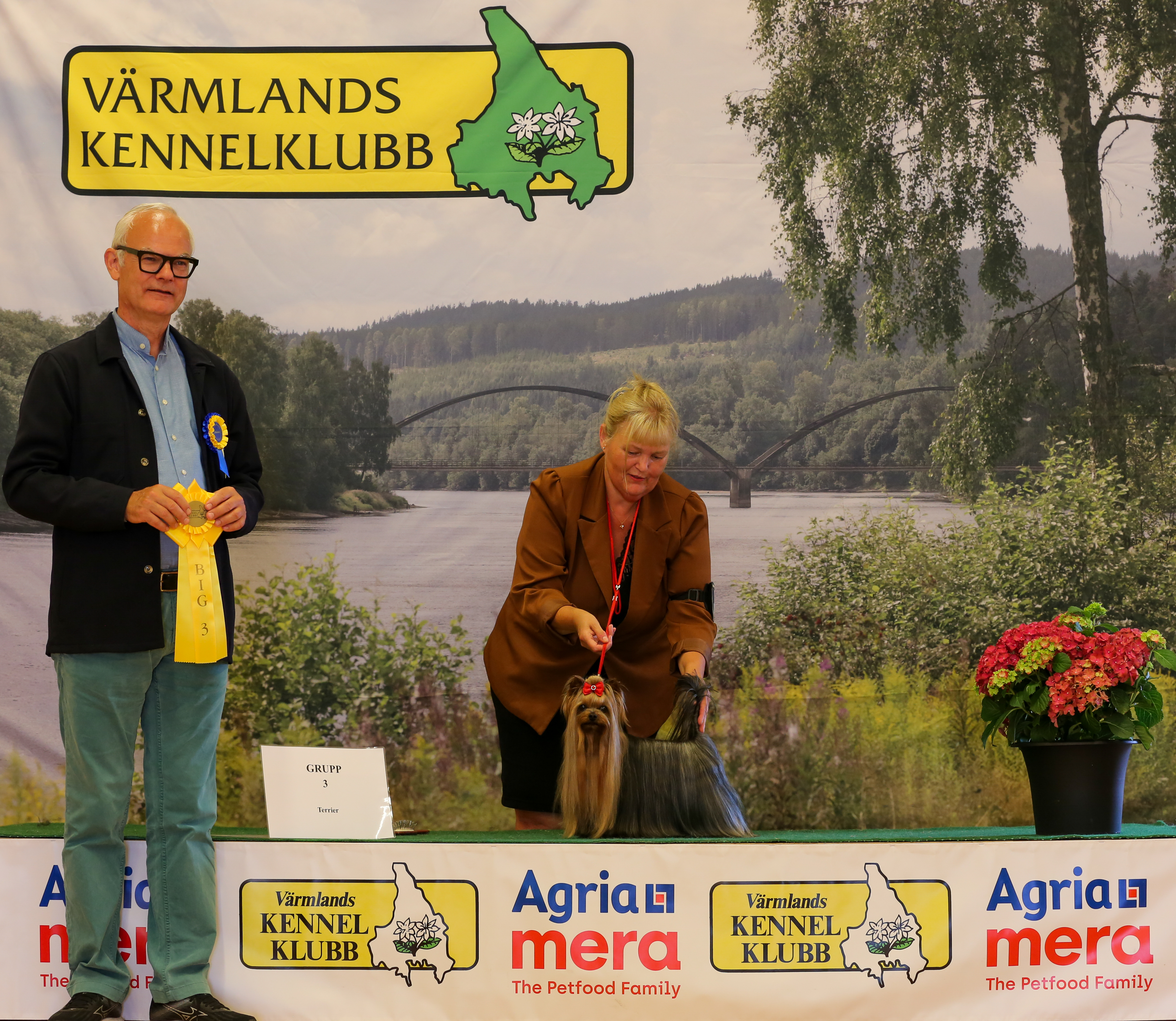 BIG-3 Grupp 3