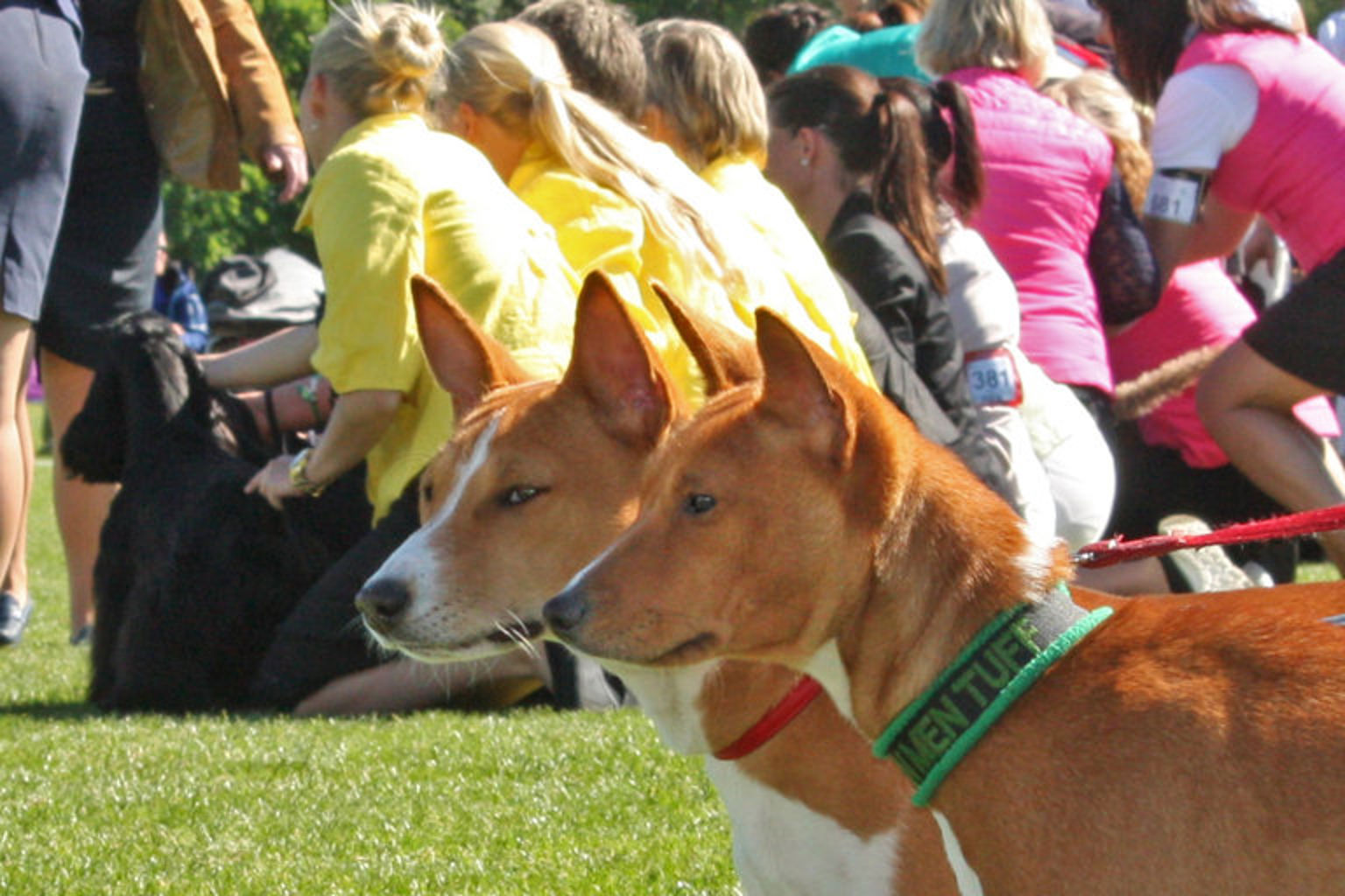 Foto: Nina Pettersson