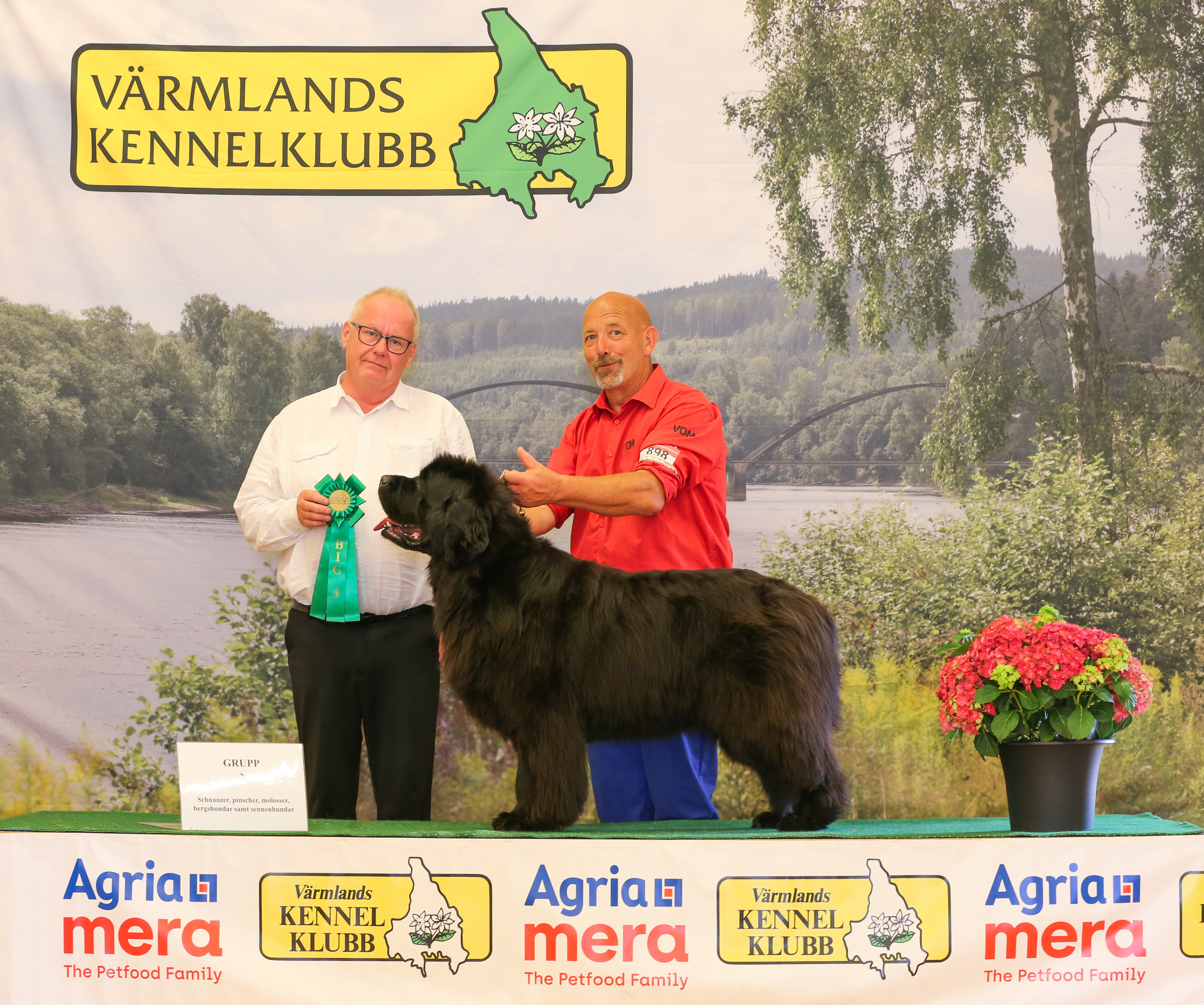 BIG-4 Grupp 2