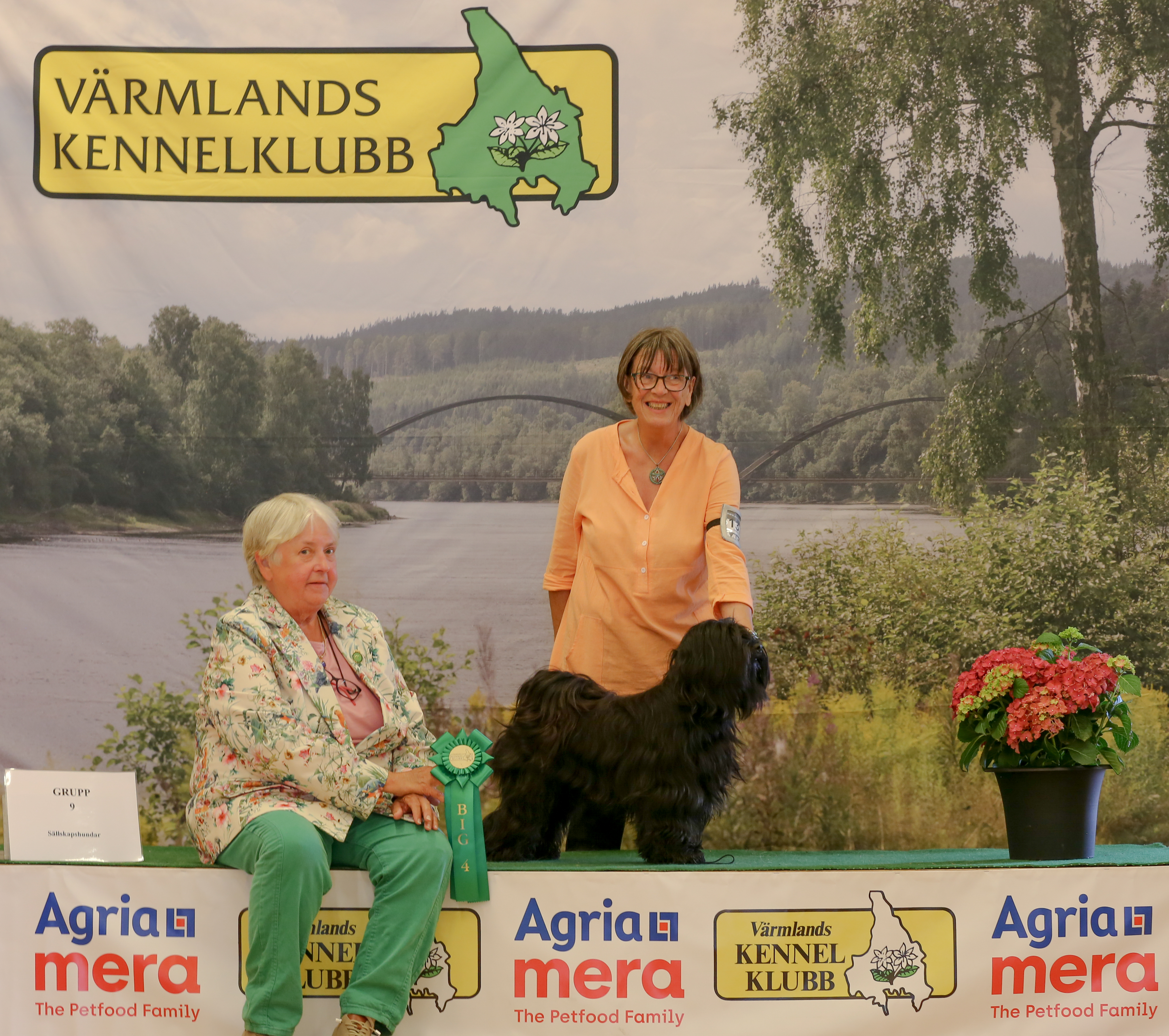 BIG-4 Grupp 9